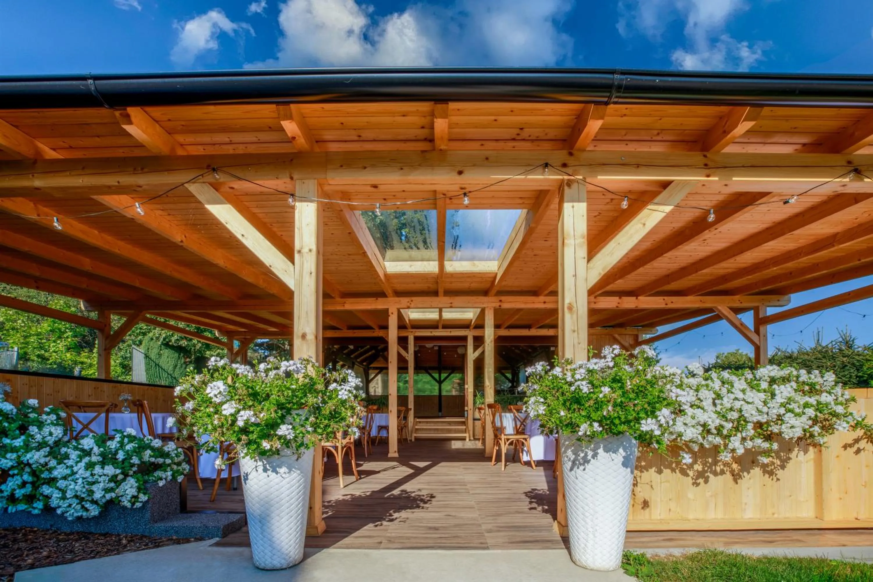 Garden in Hotel Ermi
