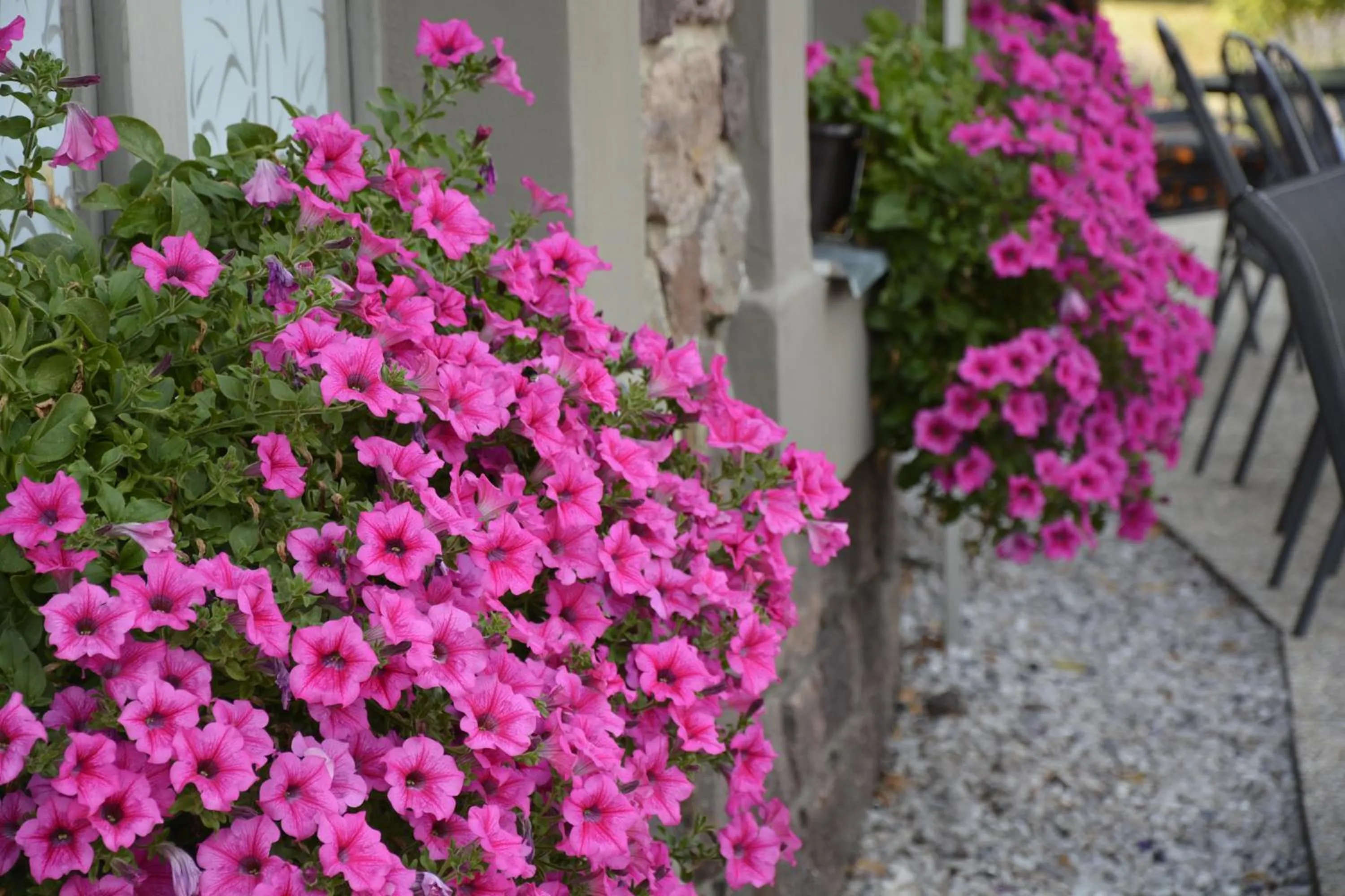 Balcony/Terrace in Hotel Ermi