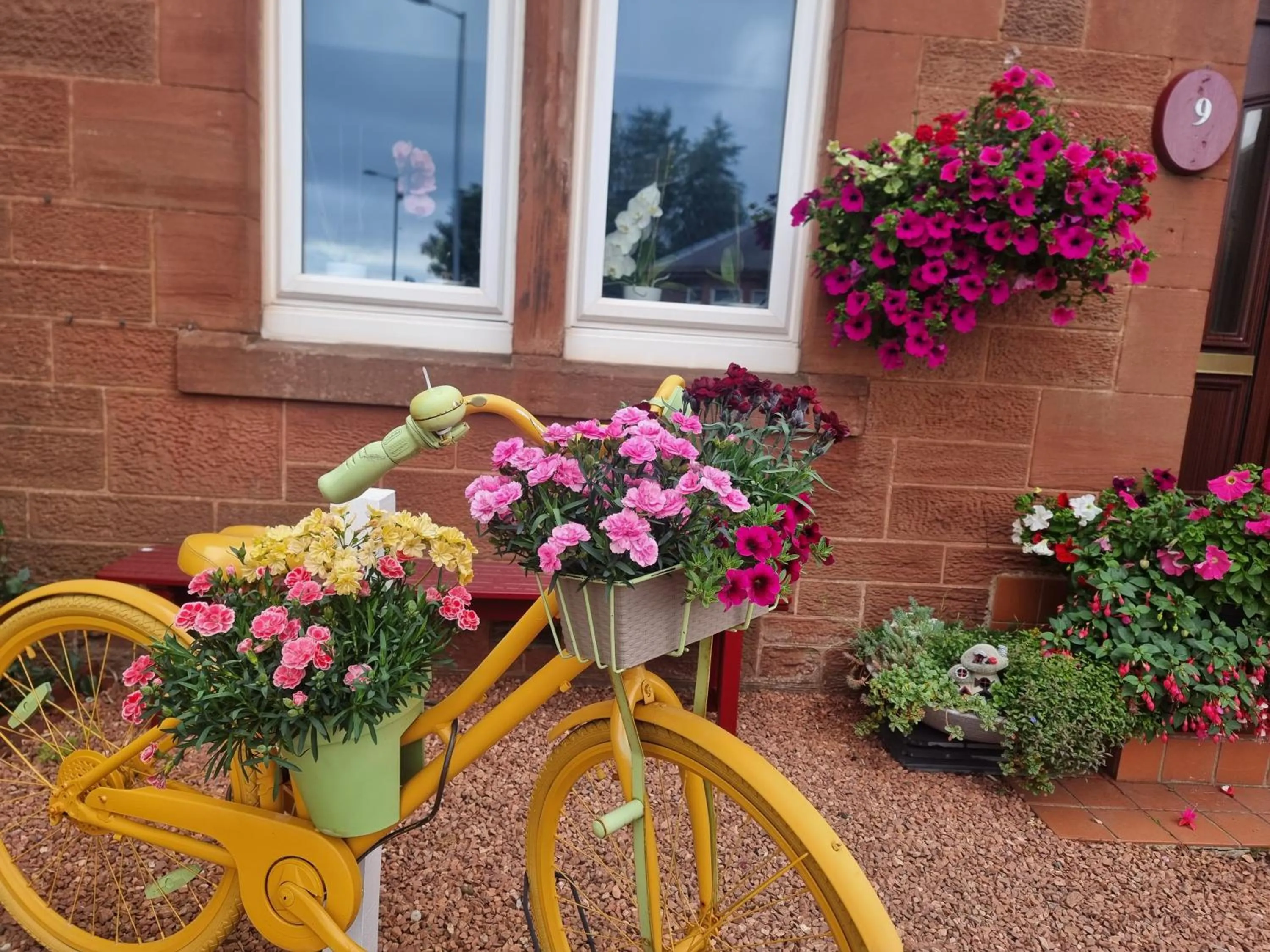 Garden in St Leonards Guest House