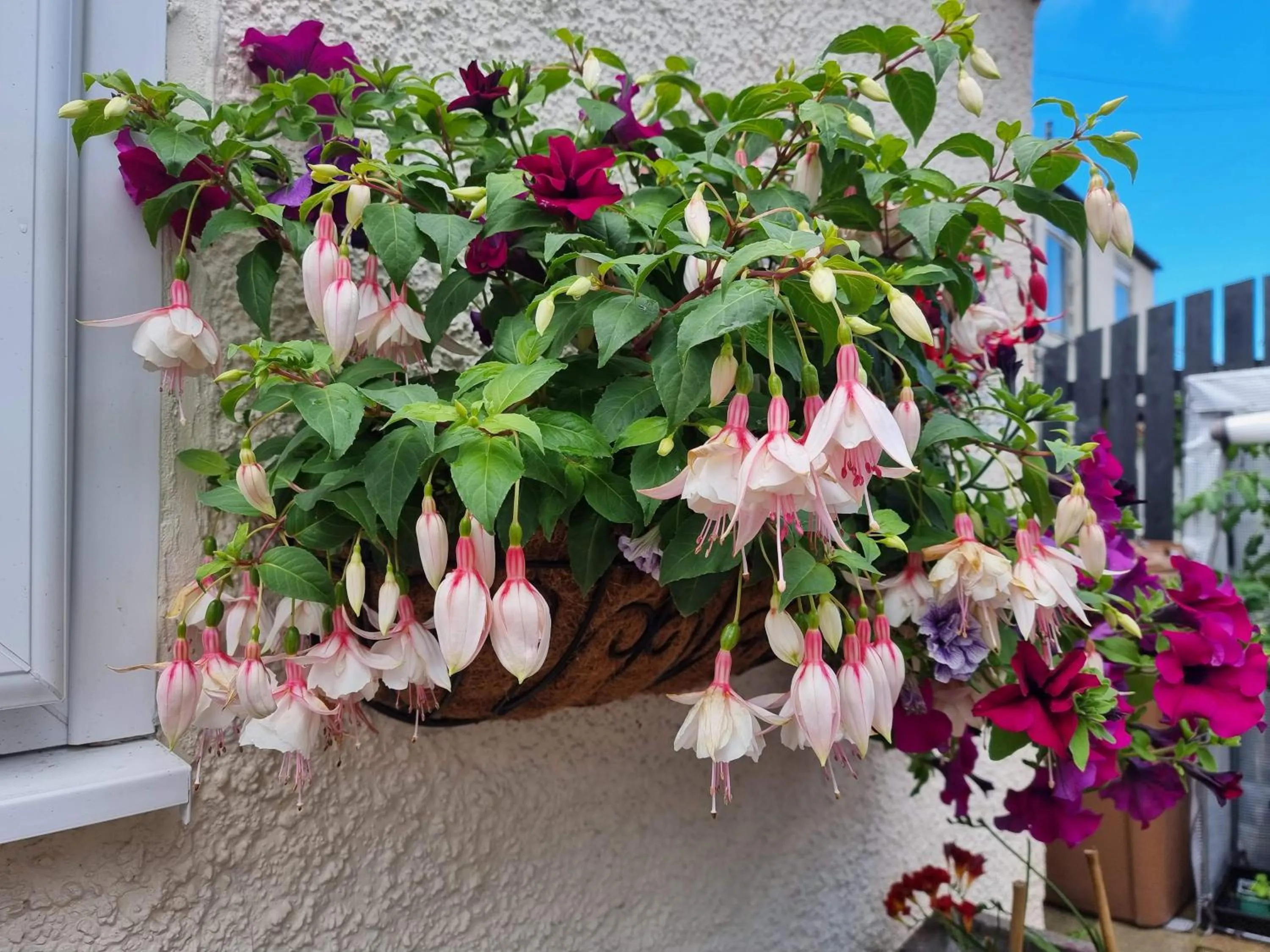 St Leonards Guest House