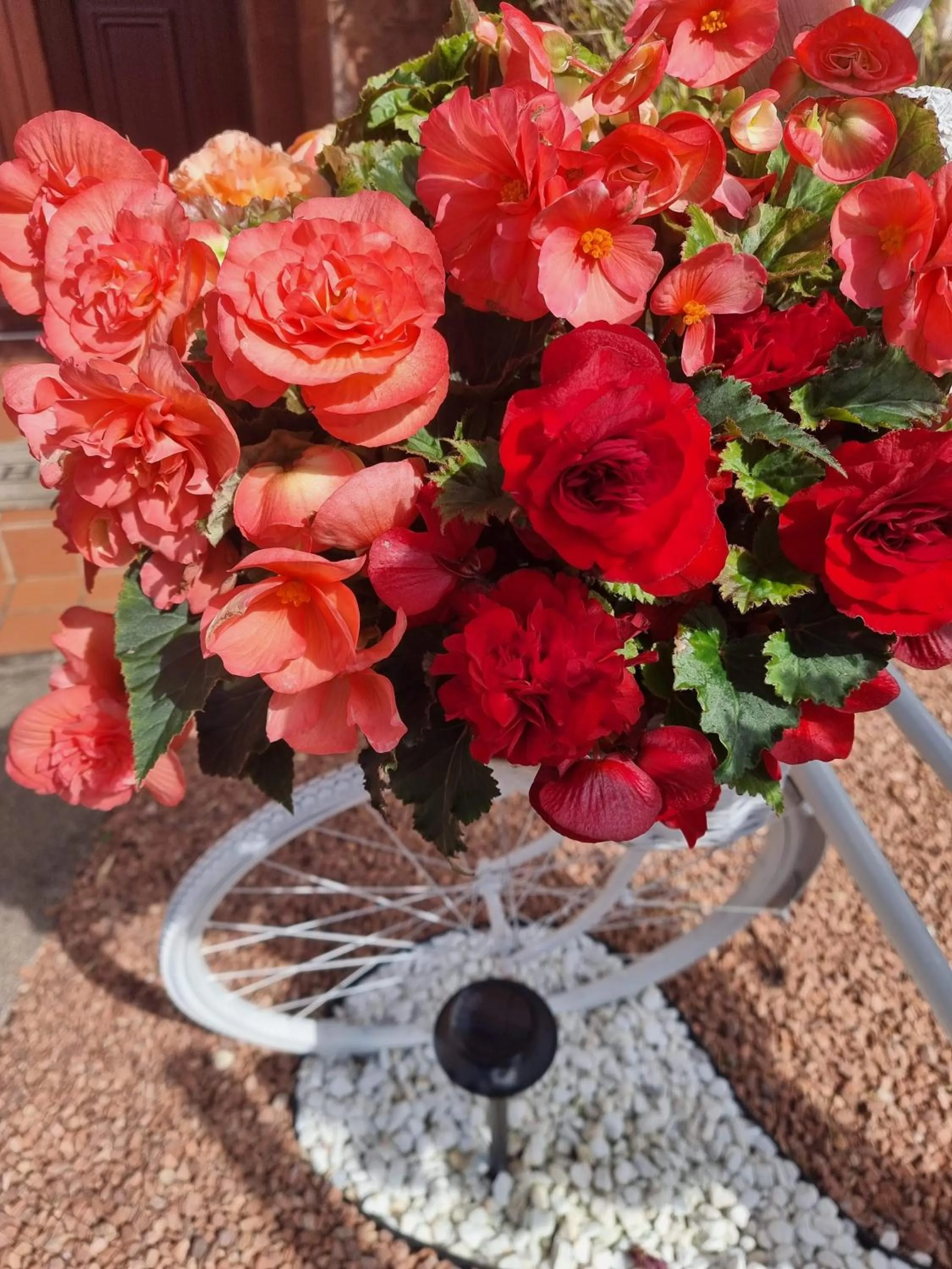 St Leonards Guest House