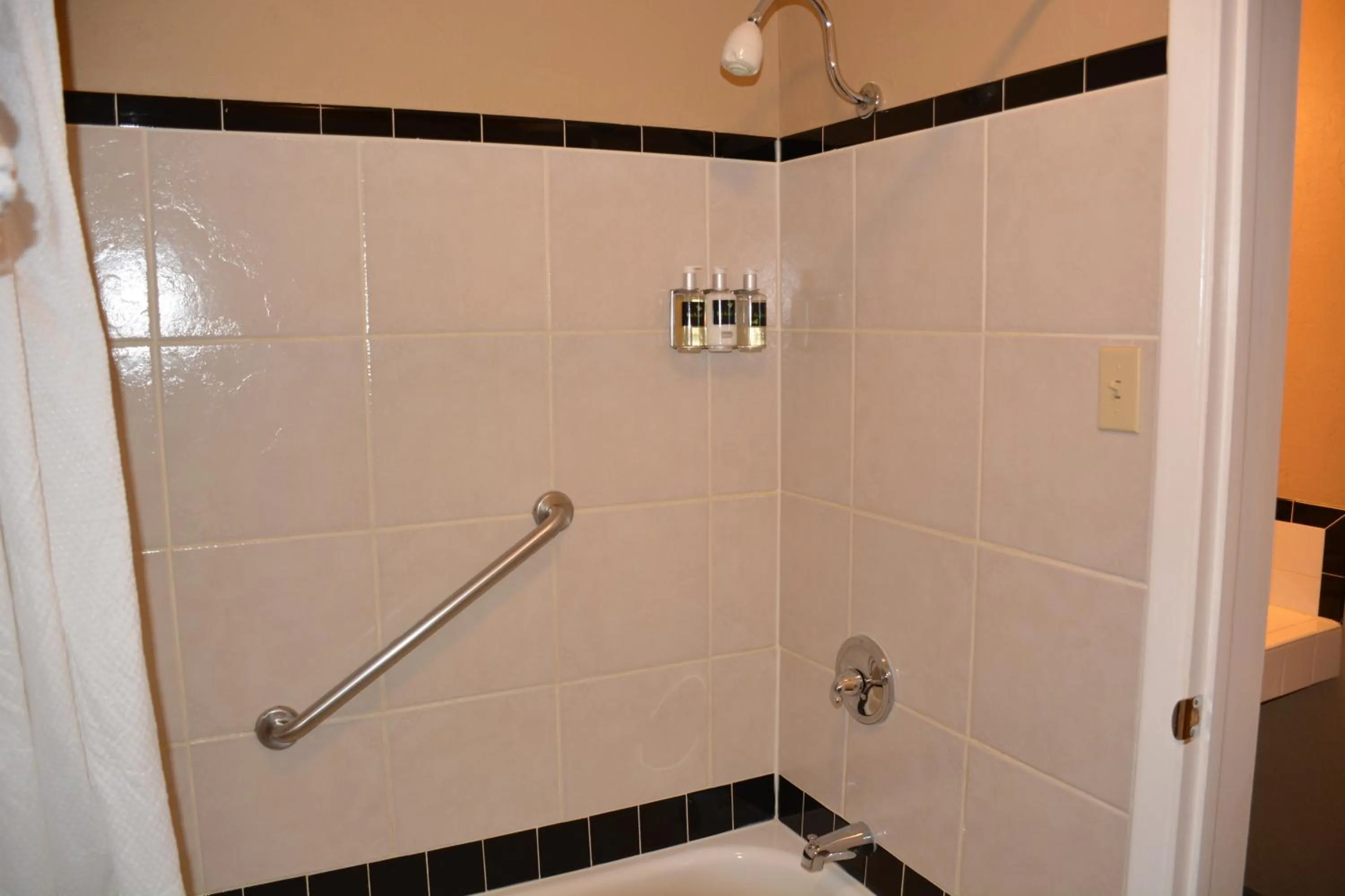 Bathroom in Sitzmark Chalet Inn