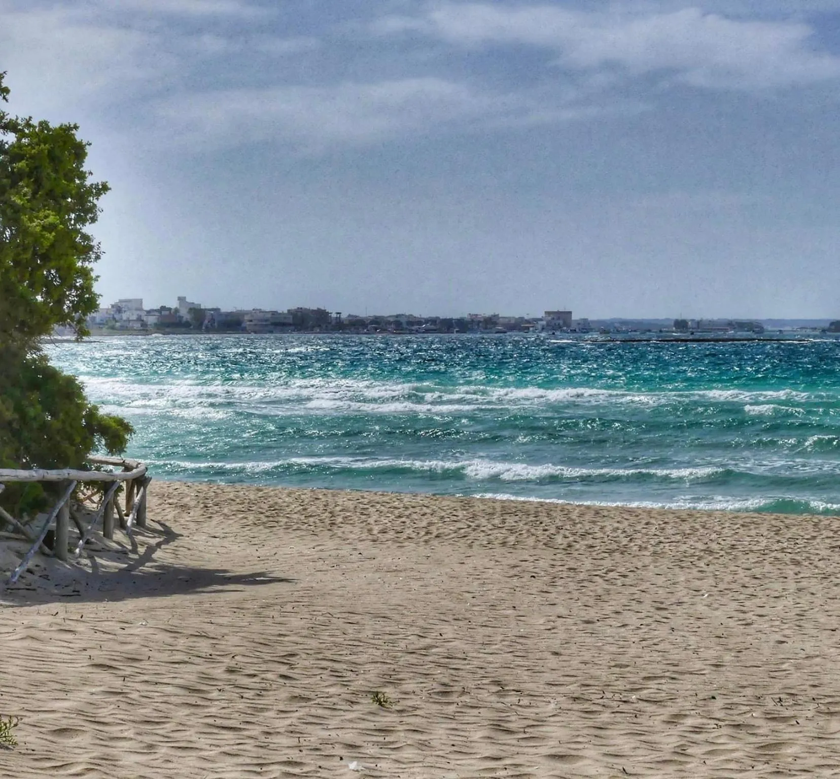 Natural landscape in B&B Felix