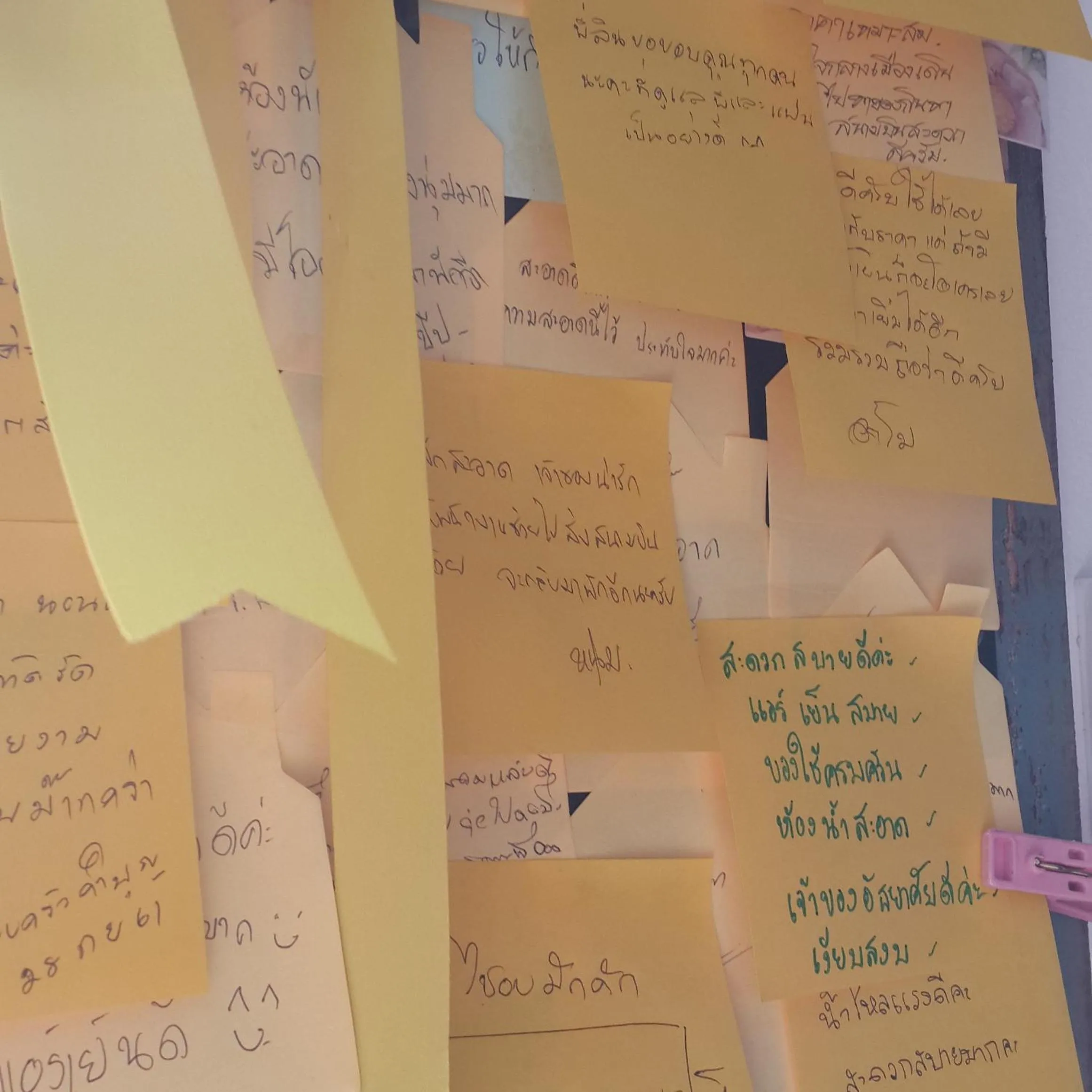 group of guests in Patchy & PPraw Family