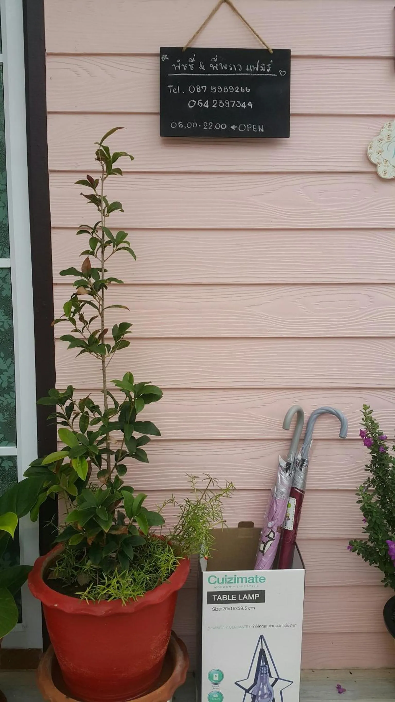 Property building in Patchy & PPraw Family