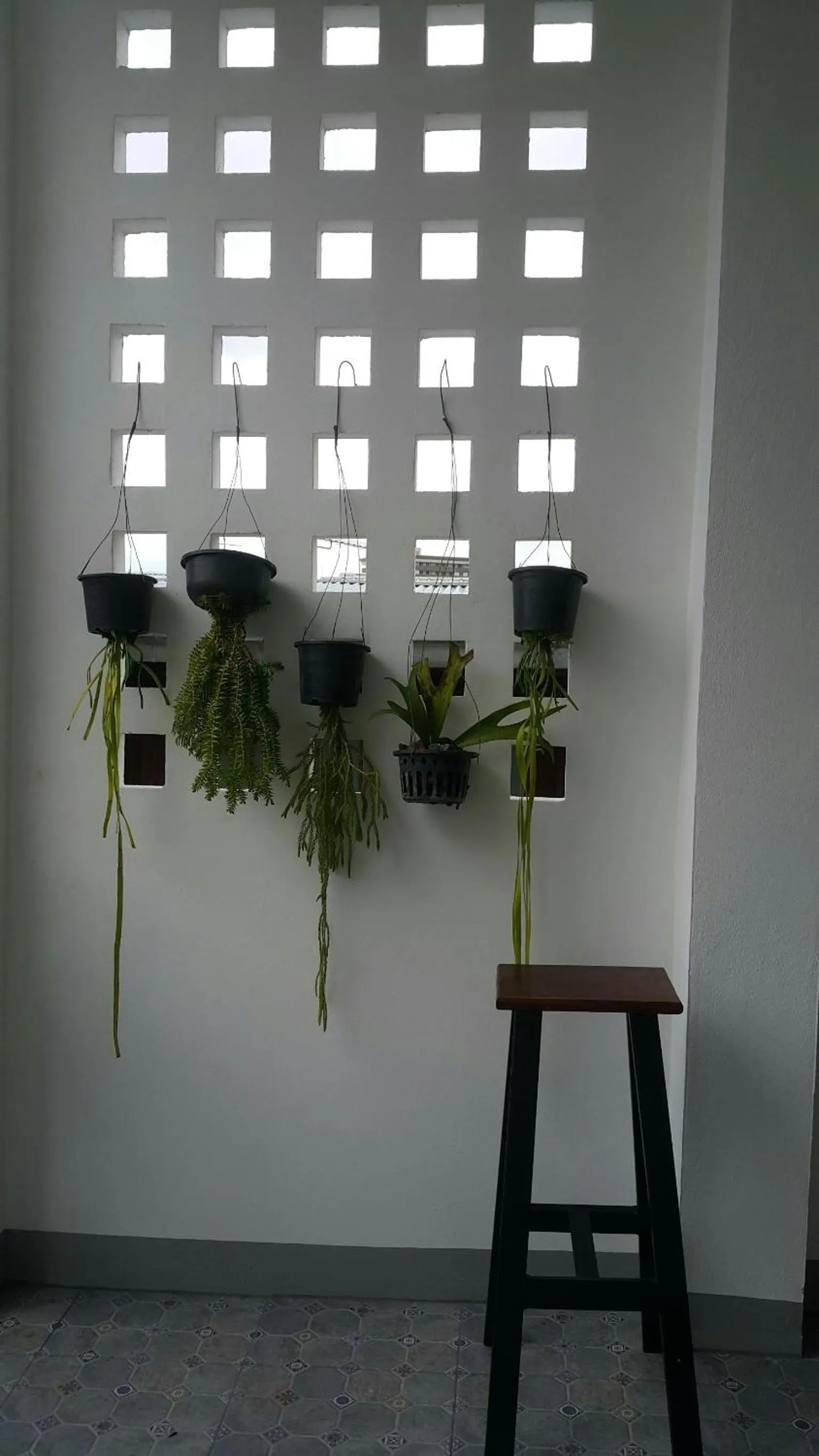 Patchy & PPraw Family