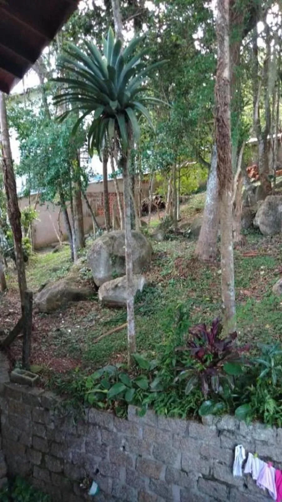Natural landscape in Residencial Rodrigues Florianópolis Centro Aeroporto