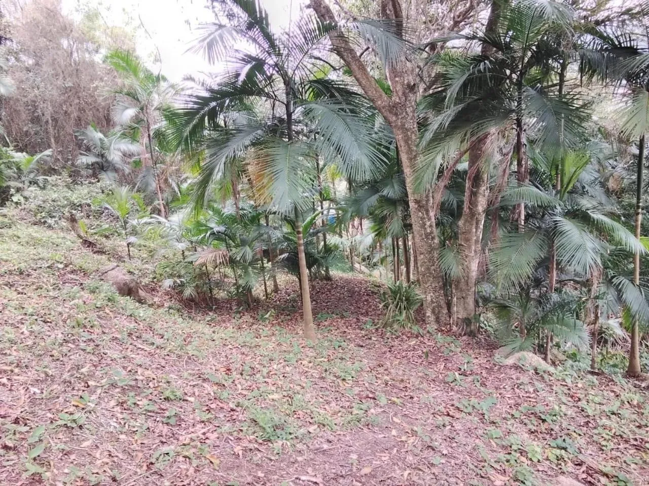 Inner courtyard view in Residencial Rodrigues Florianópolis Centro Aeroporto