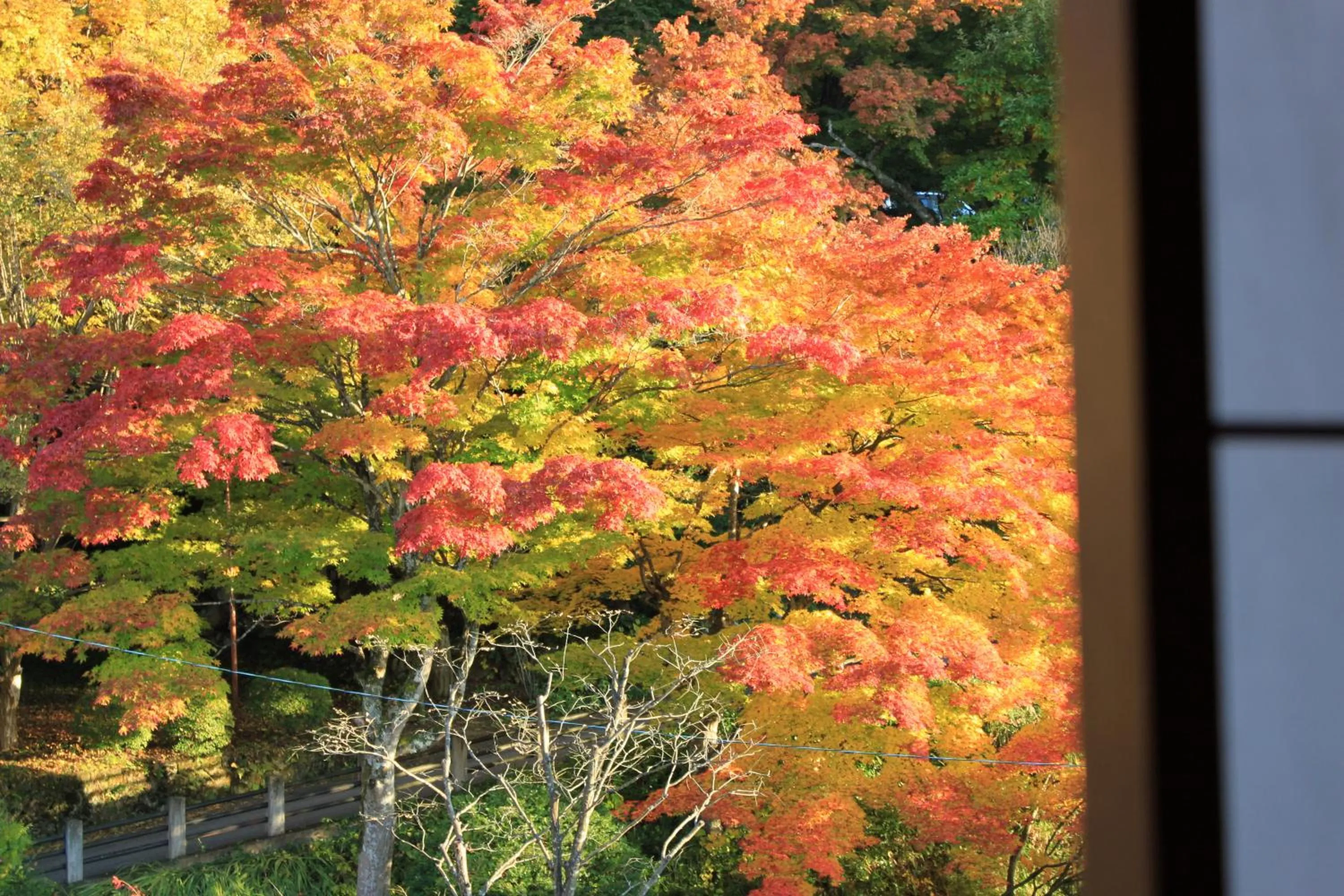 View (from property/room) in Hoshokaku                                                                                       