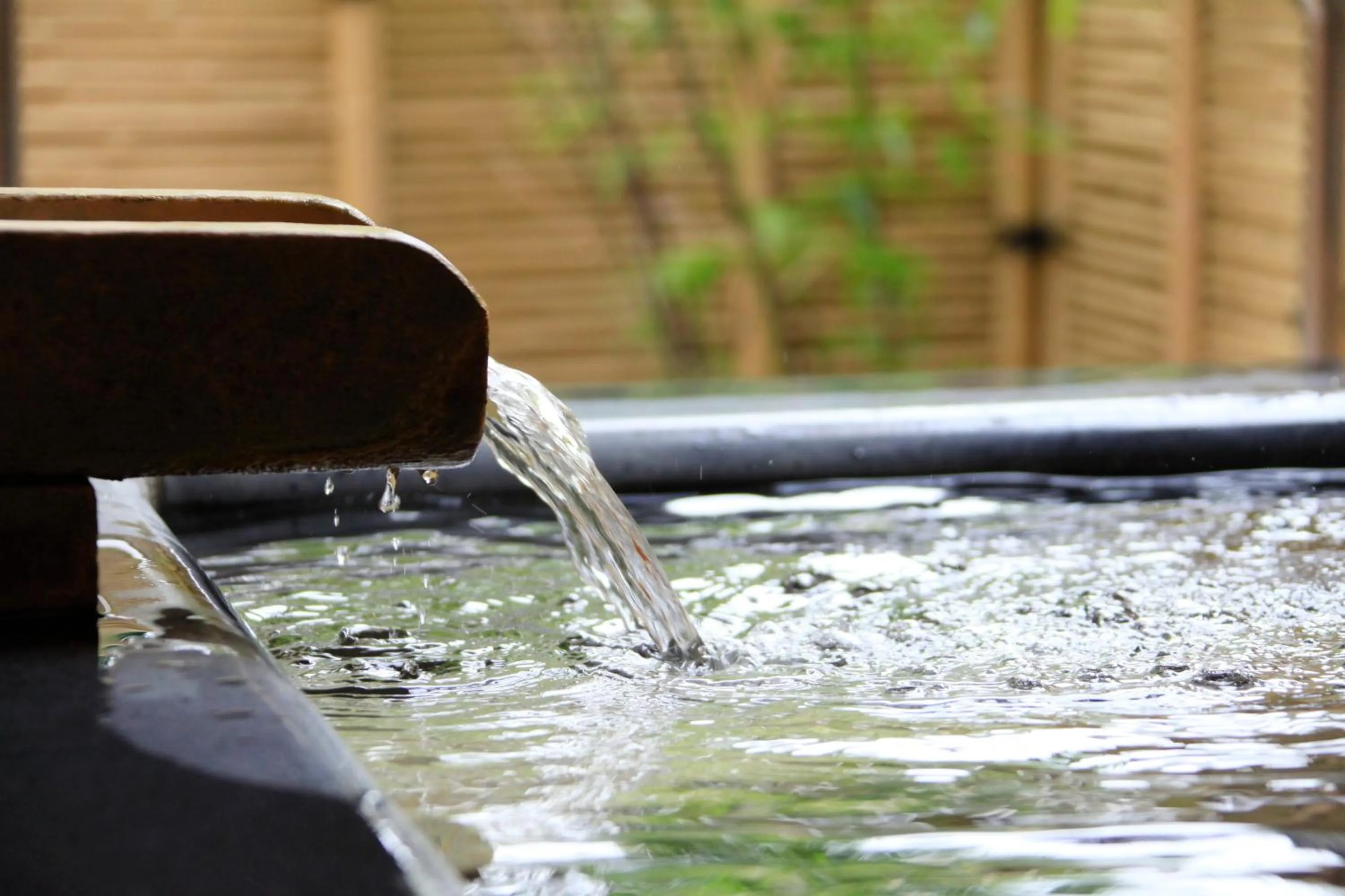 Hot Spring Bath, Other Animals in Hoshokaku                                                                                       