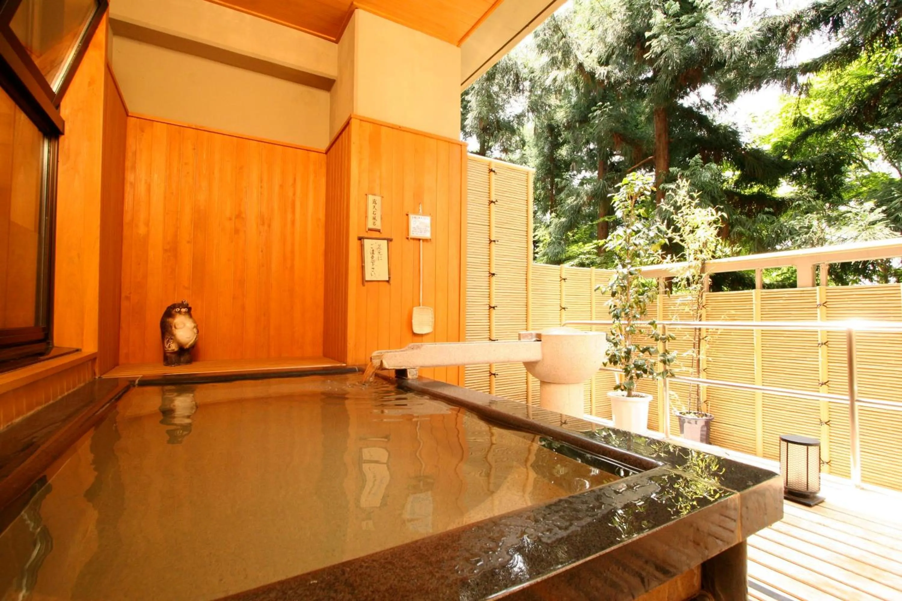 Hot Spring Bath, Swimming Pool in Hoshokaku                                                                                       