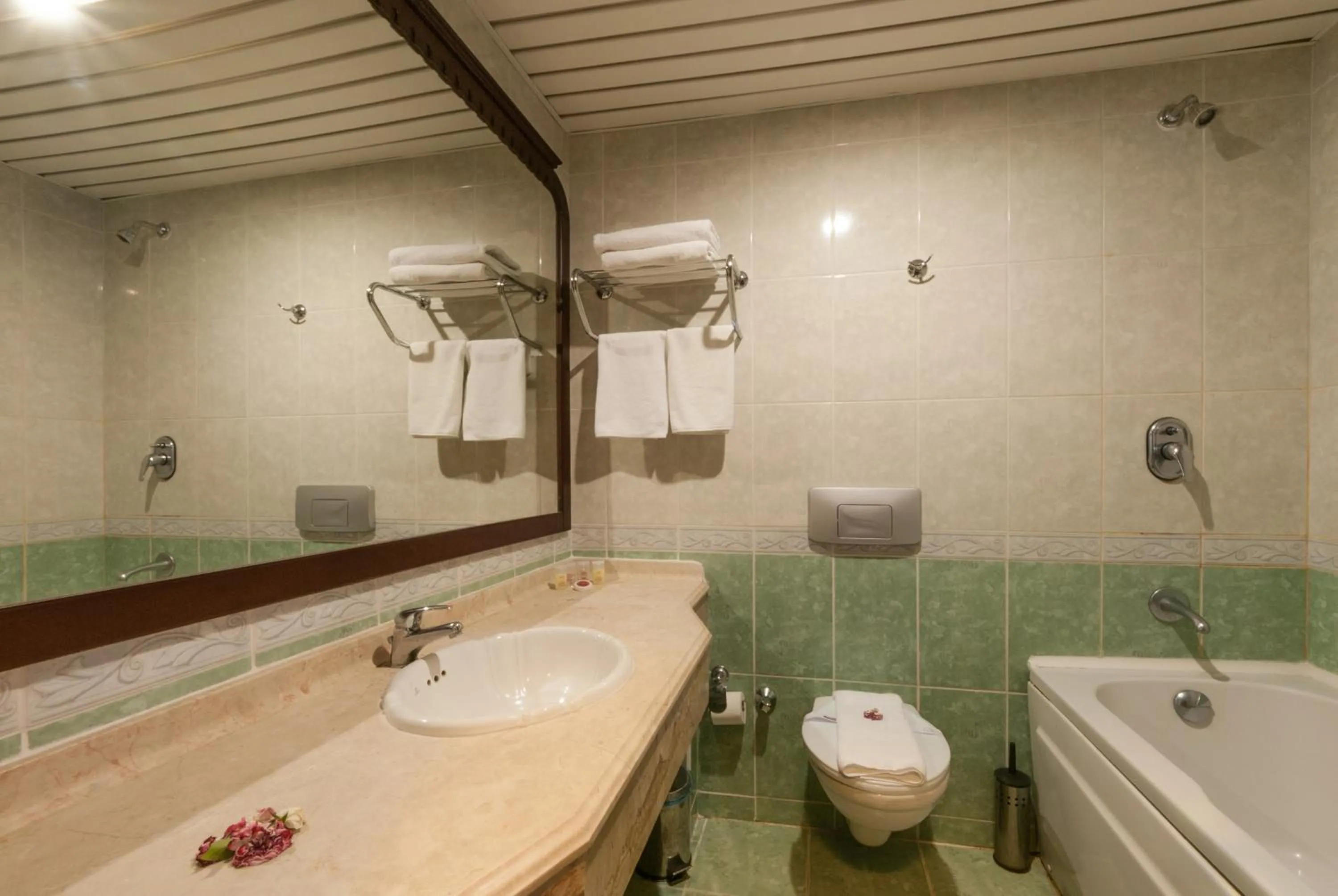 Bathroom in My Dream Hotel