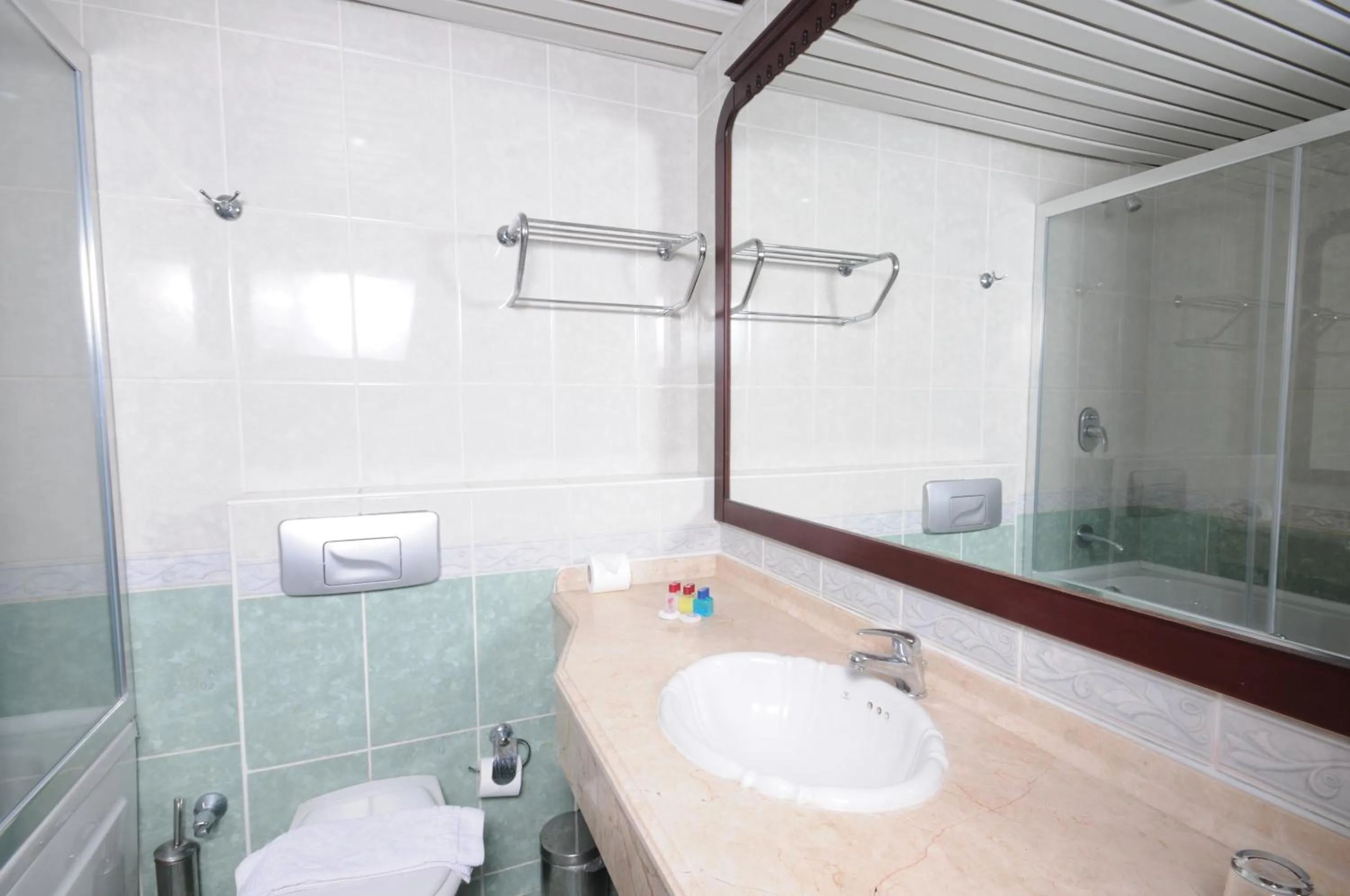 Bathroom in My Dream Hotel