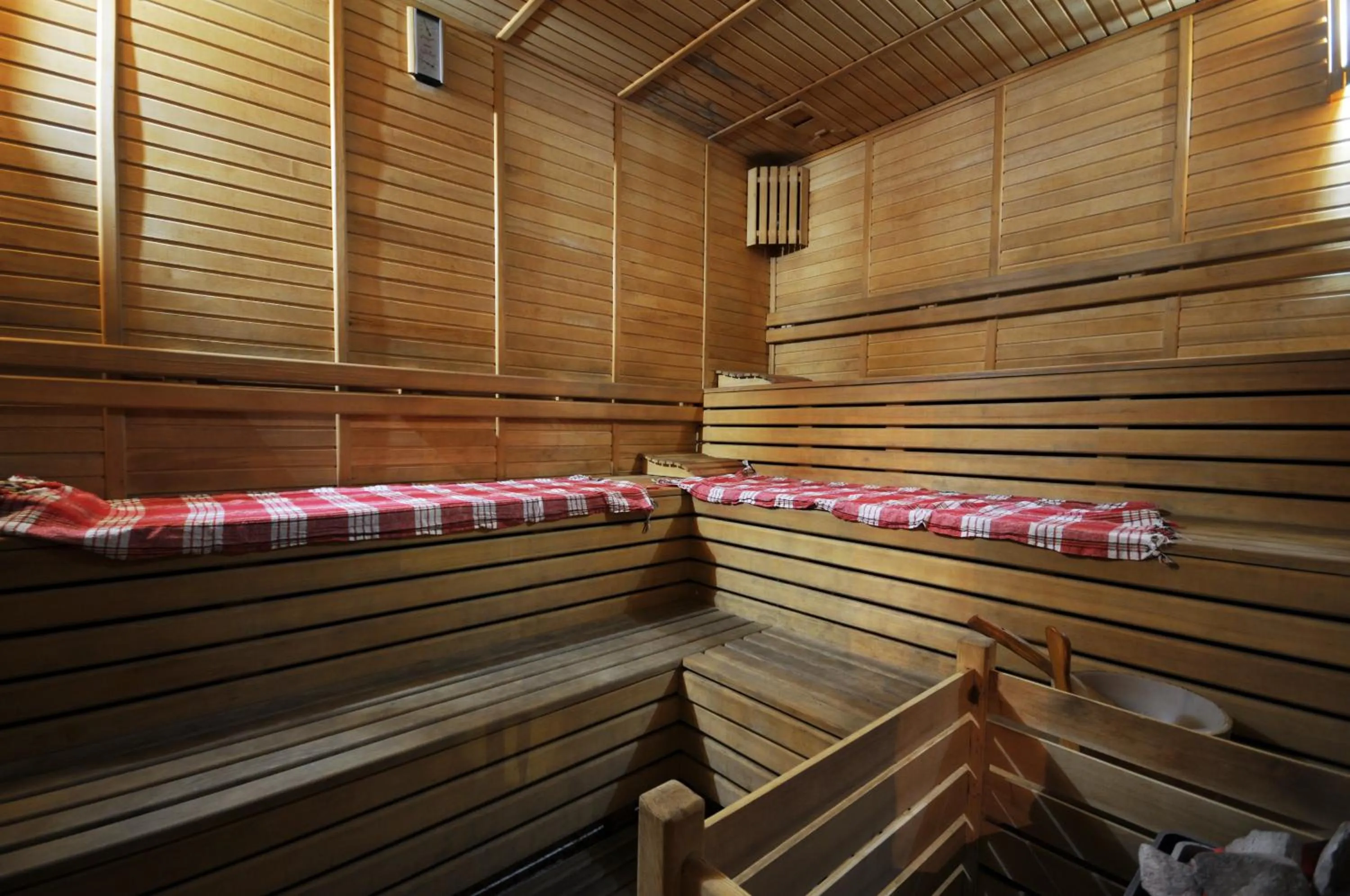 Sauna in My Dream Hotel