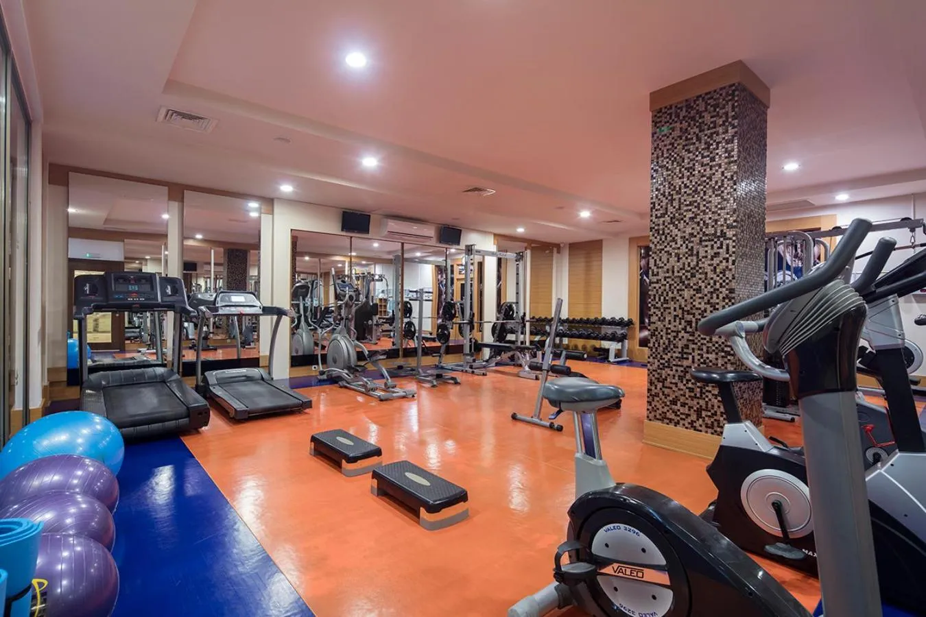 Fitness centre/facilities in Aydinbey King's Palace & Spa - Ultra All Inclusive