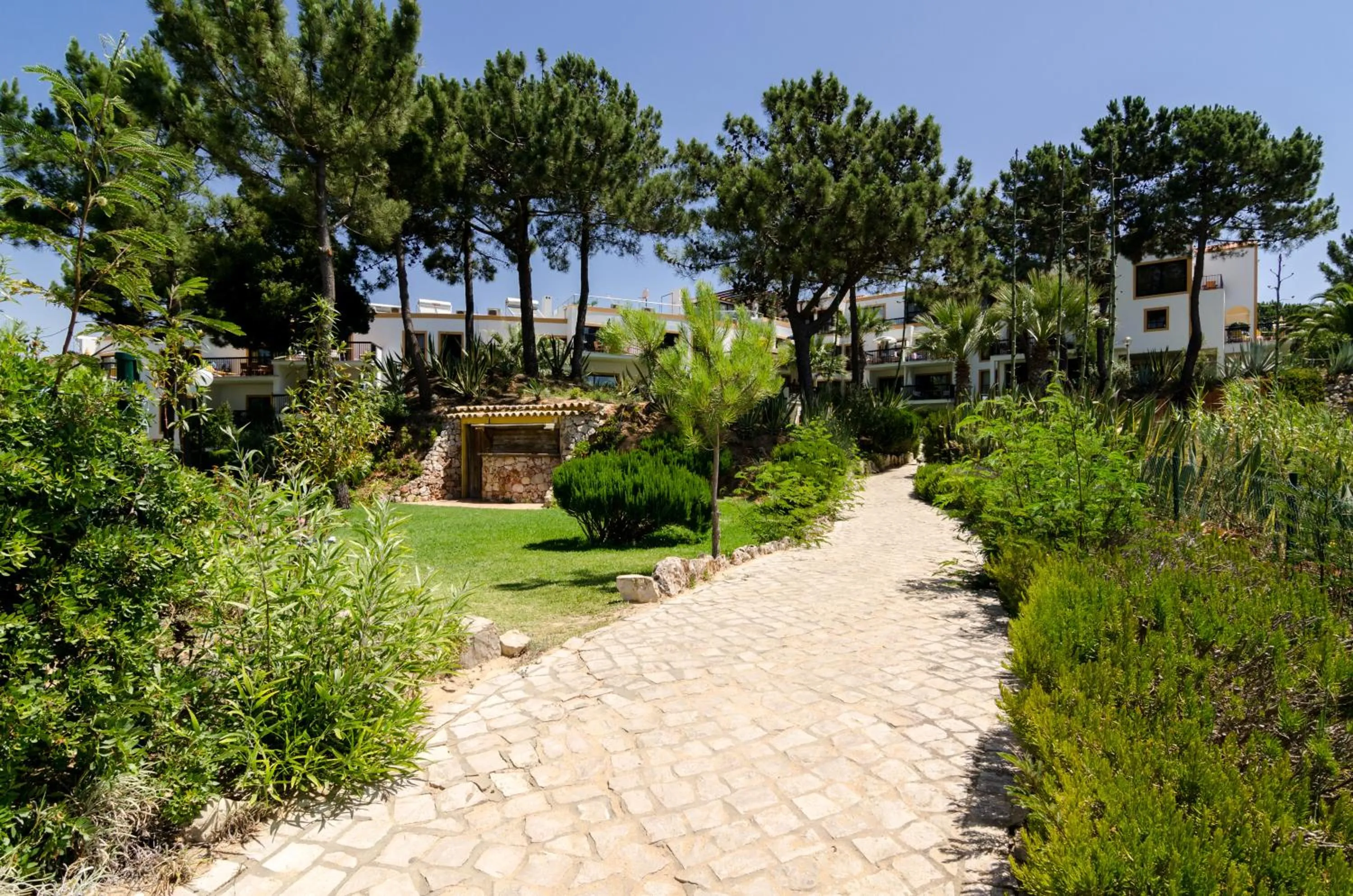 Garden in Alfagar Village