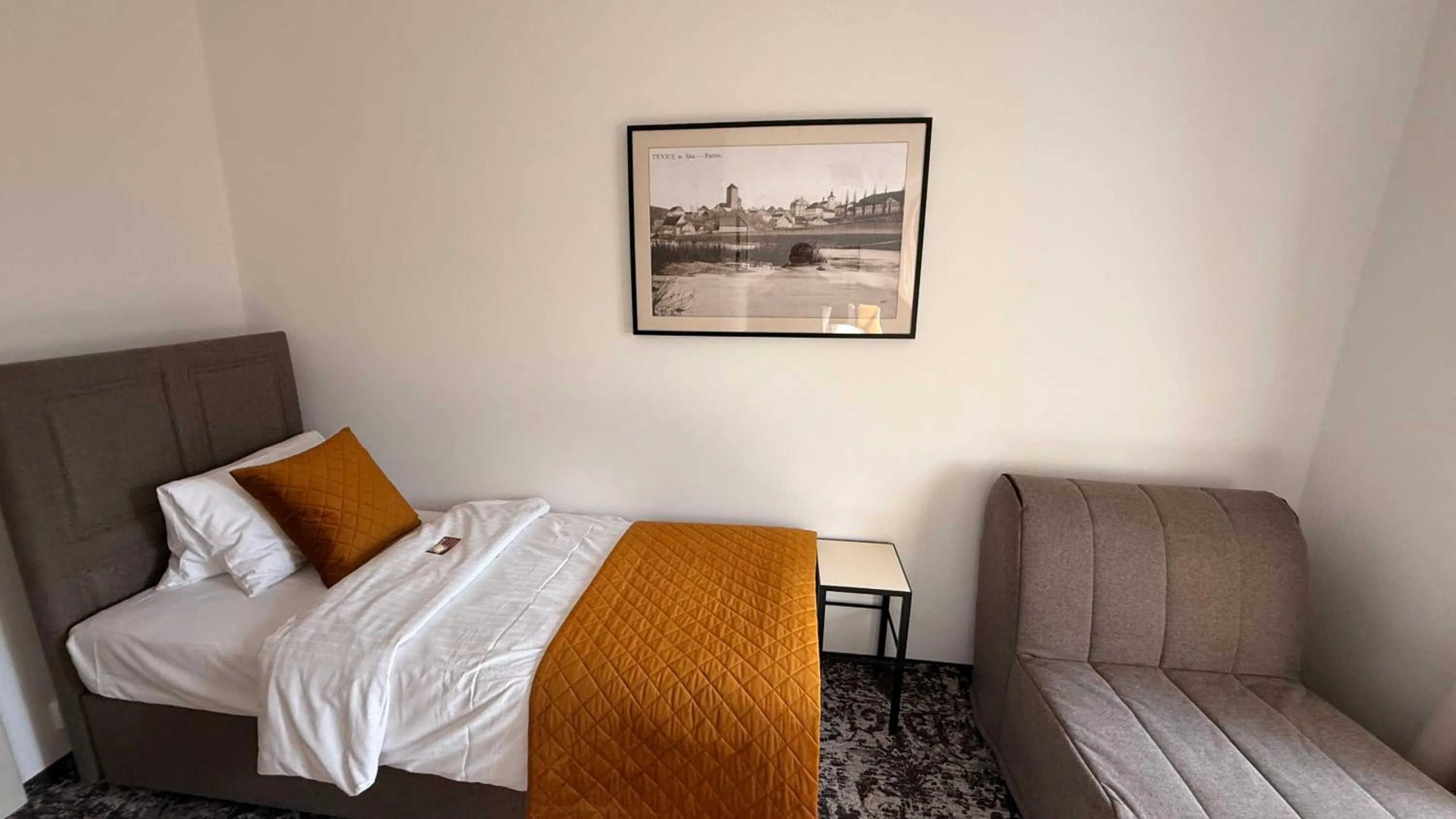 Photo of the whole room, Bed in Hotel Tynec