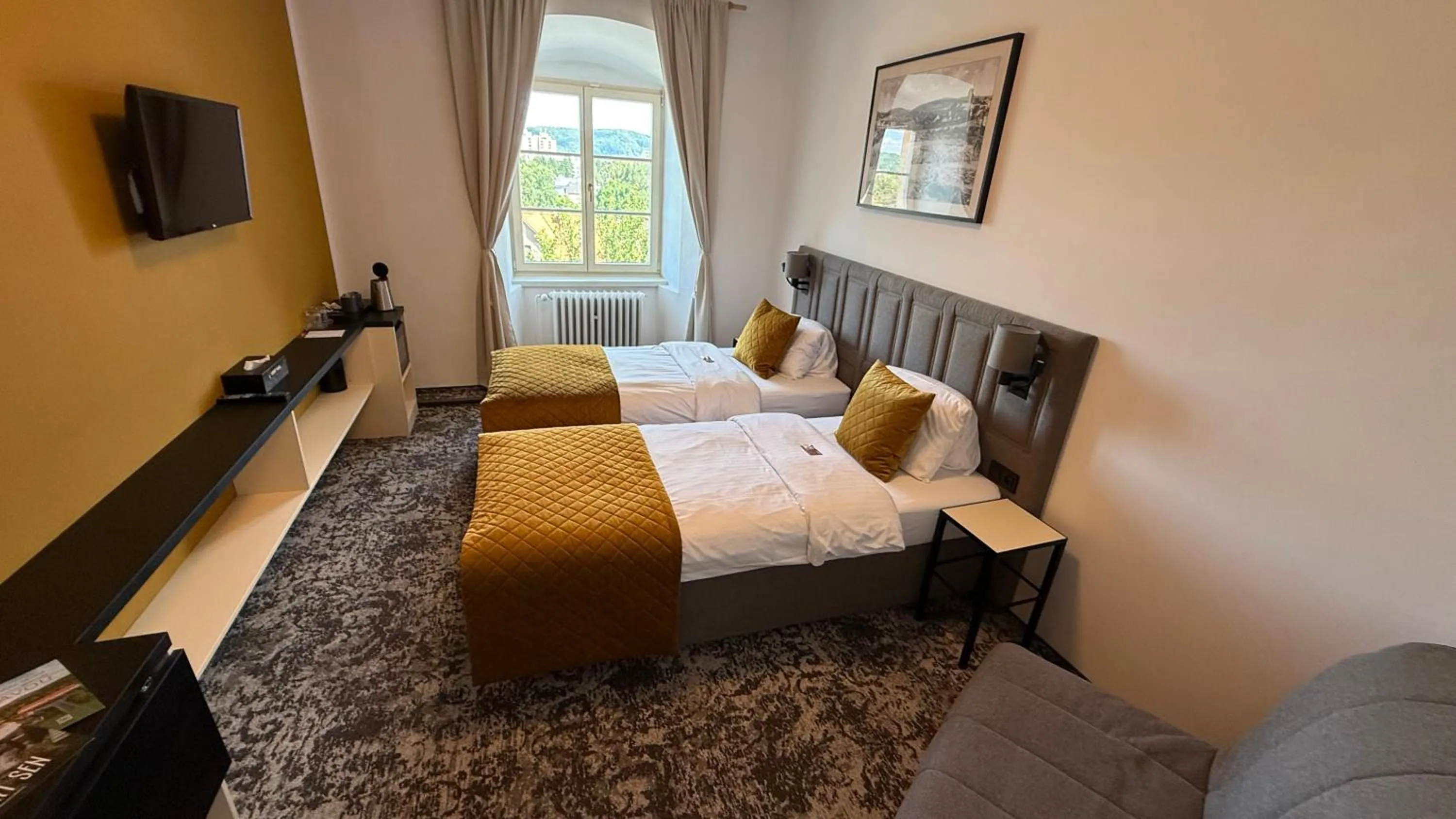 Double or Twin Room - single occupancy in Hotel Tynec