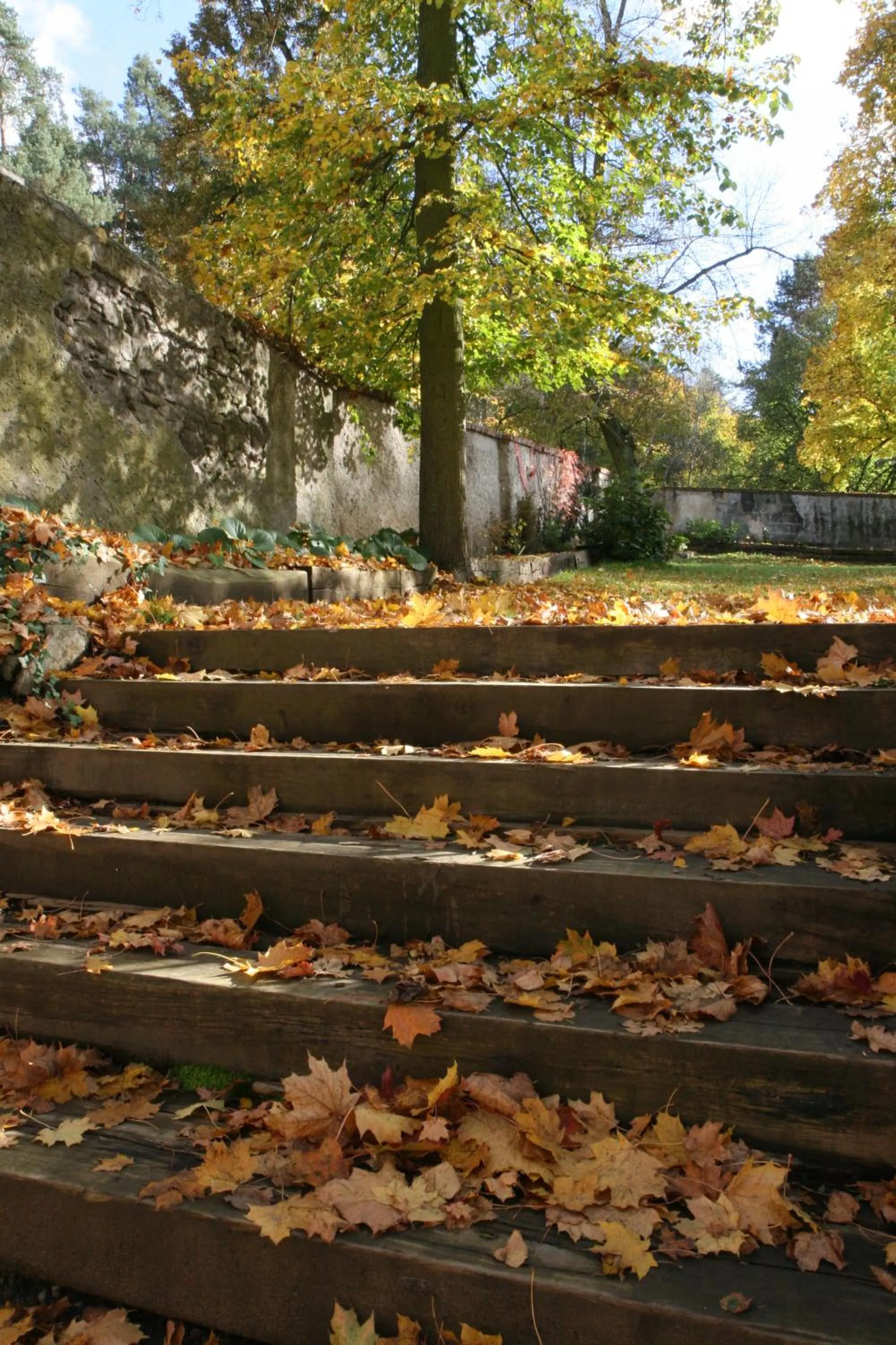 Garden in Hotel Tynec
