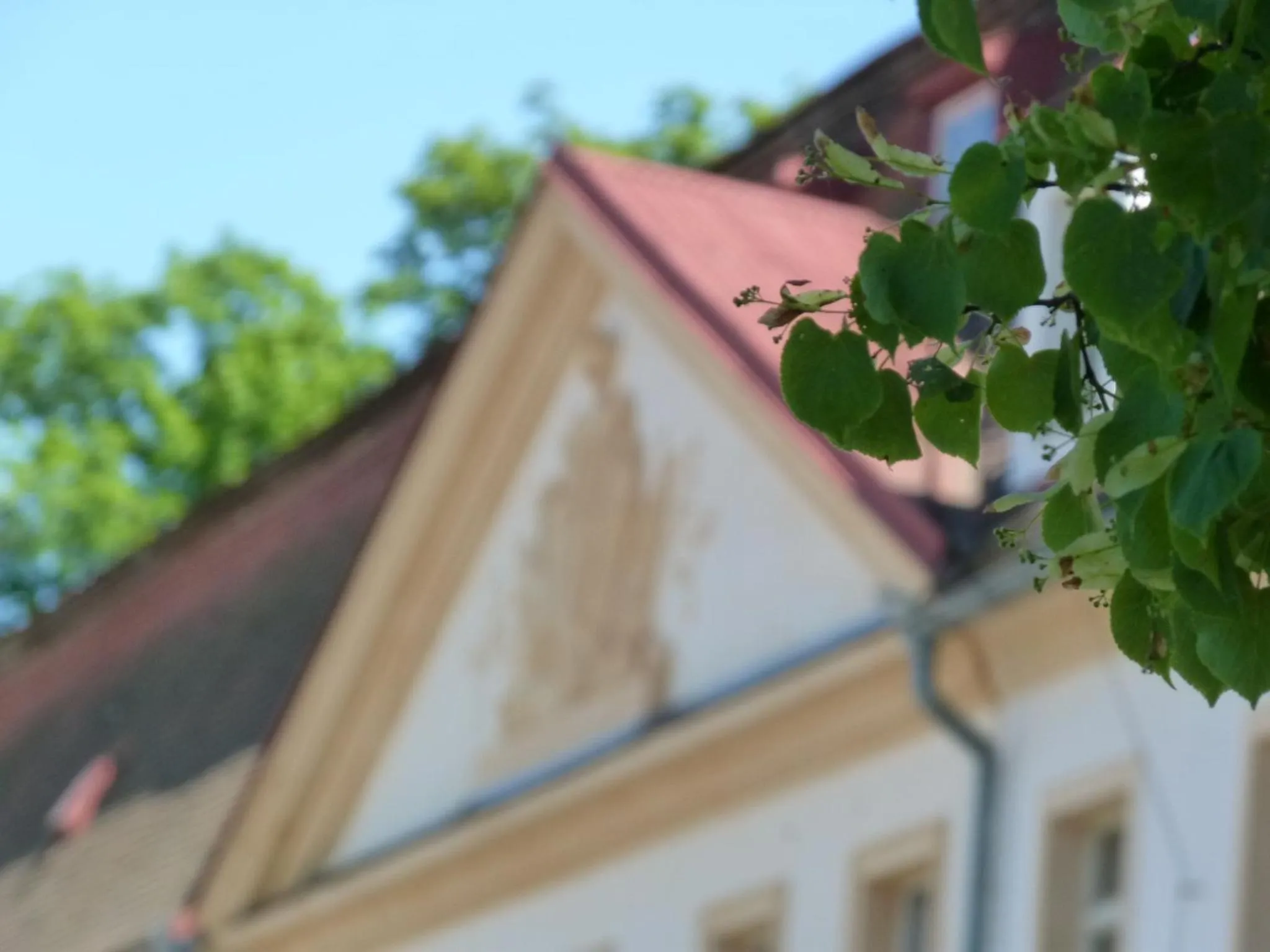 Decorative detail in Hotel Tynec