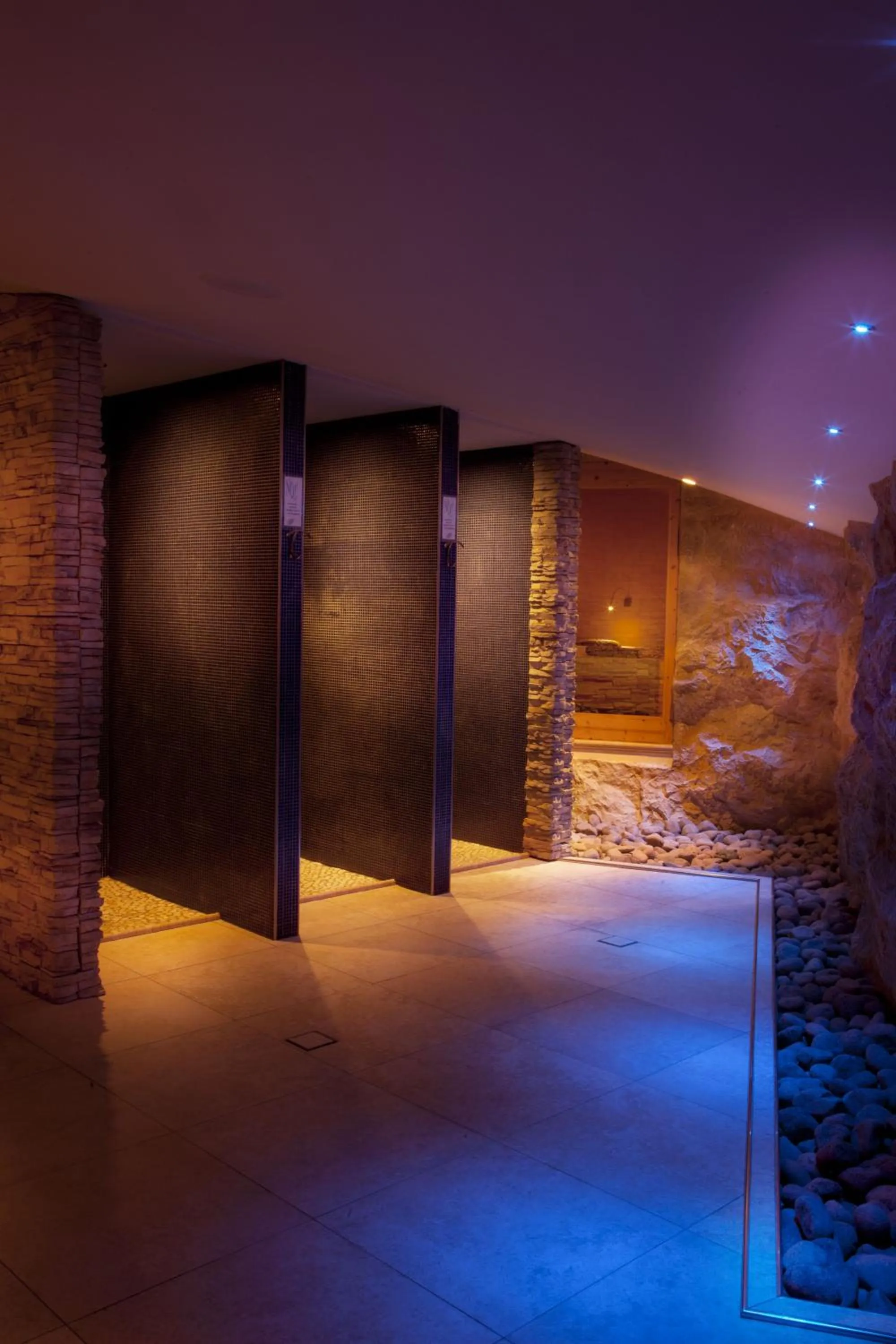 Spa and wellness centre/facilities in Campiglio Bellavista