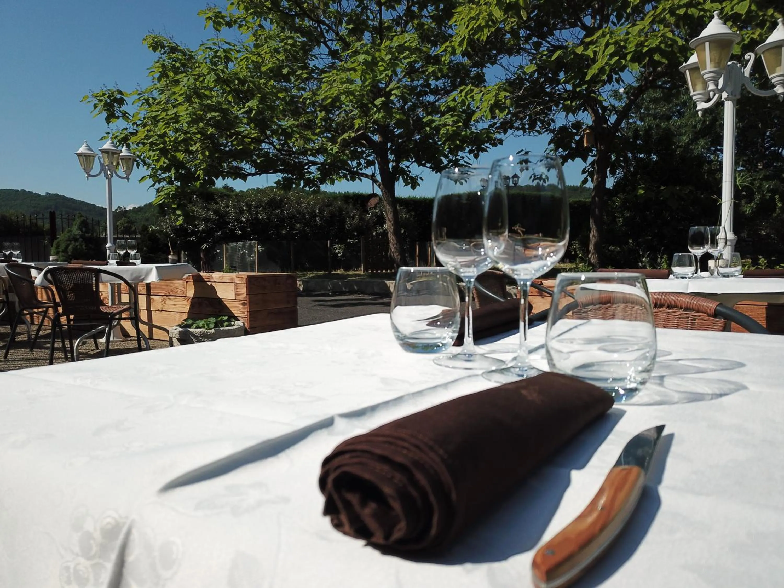 Garden view in Hotel Restaurant Les Glycines