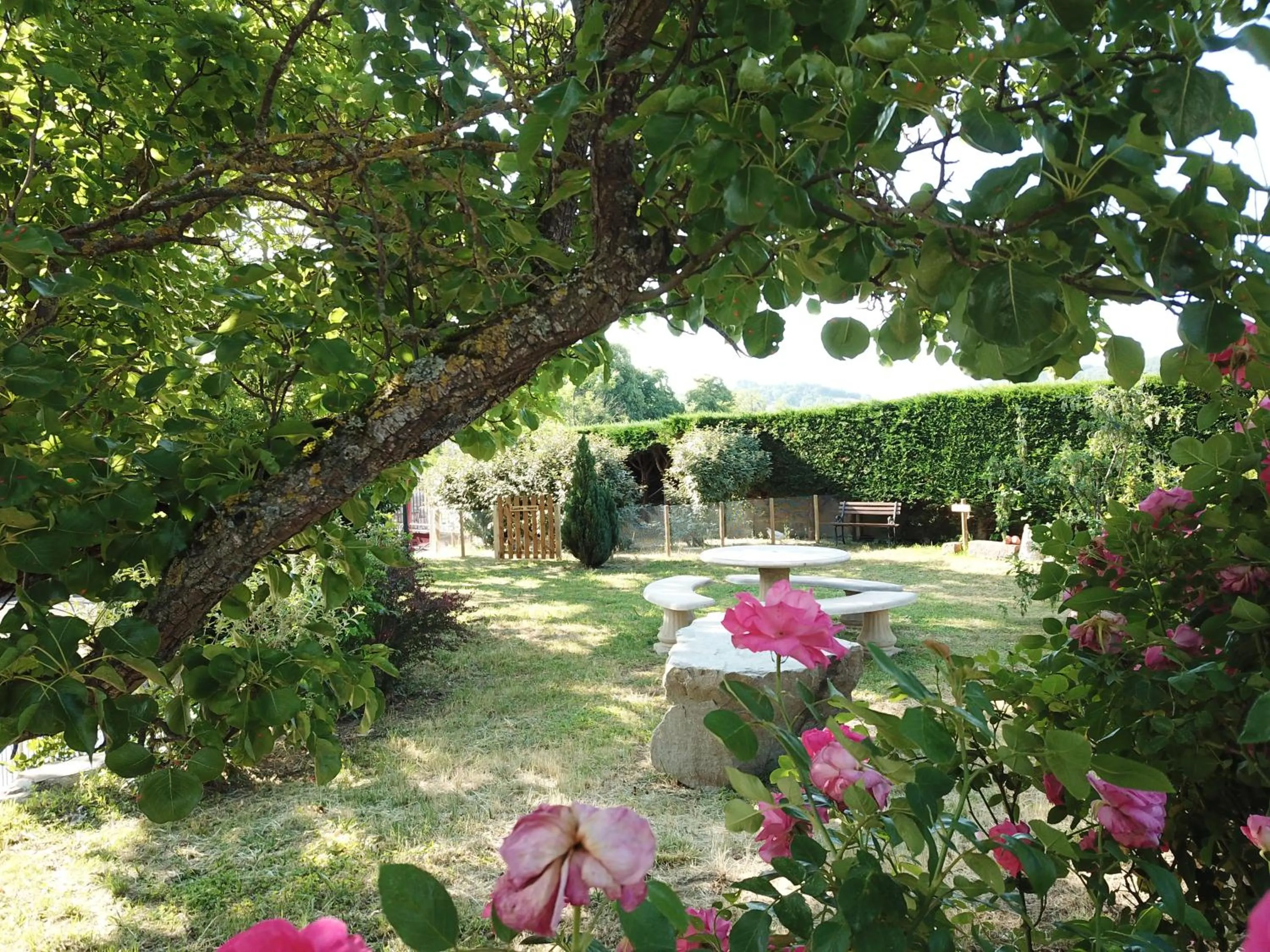 Garden in Hotel Restaurant Les Glycines
