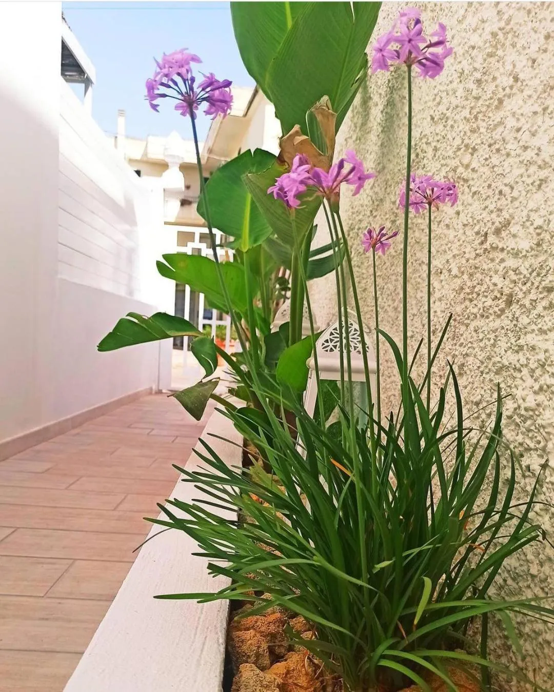 B&B Suites Via del Mare