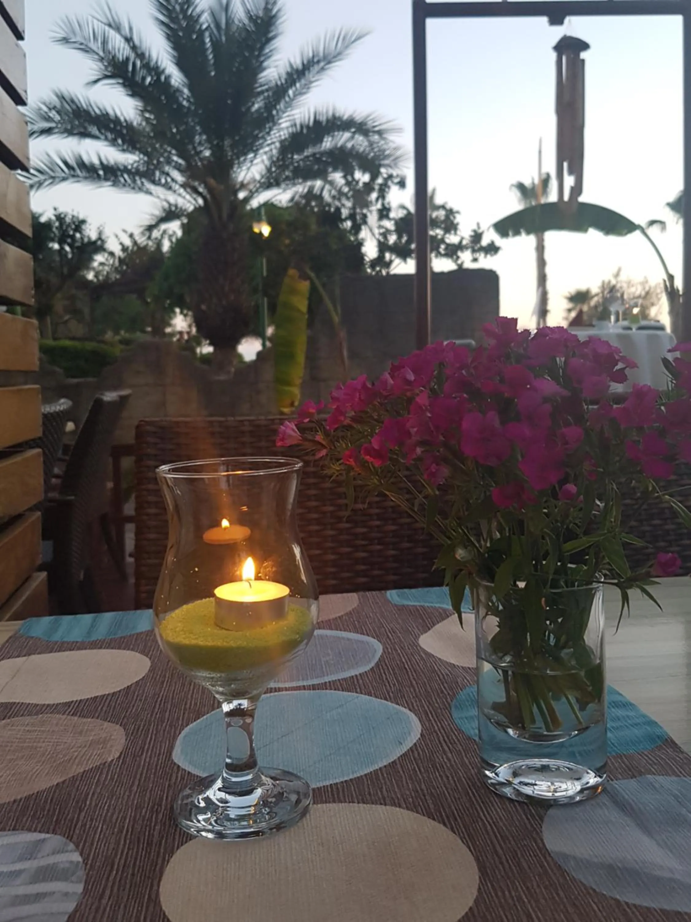 Garden in Belle Ocean Apart Otel