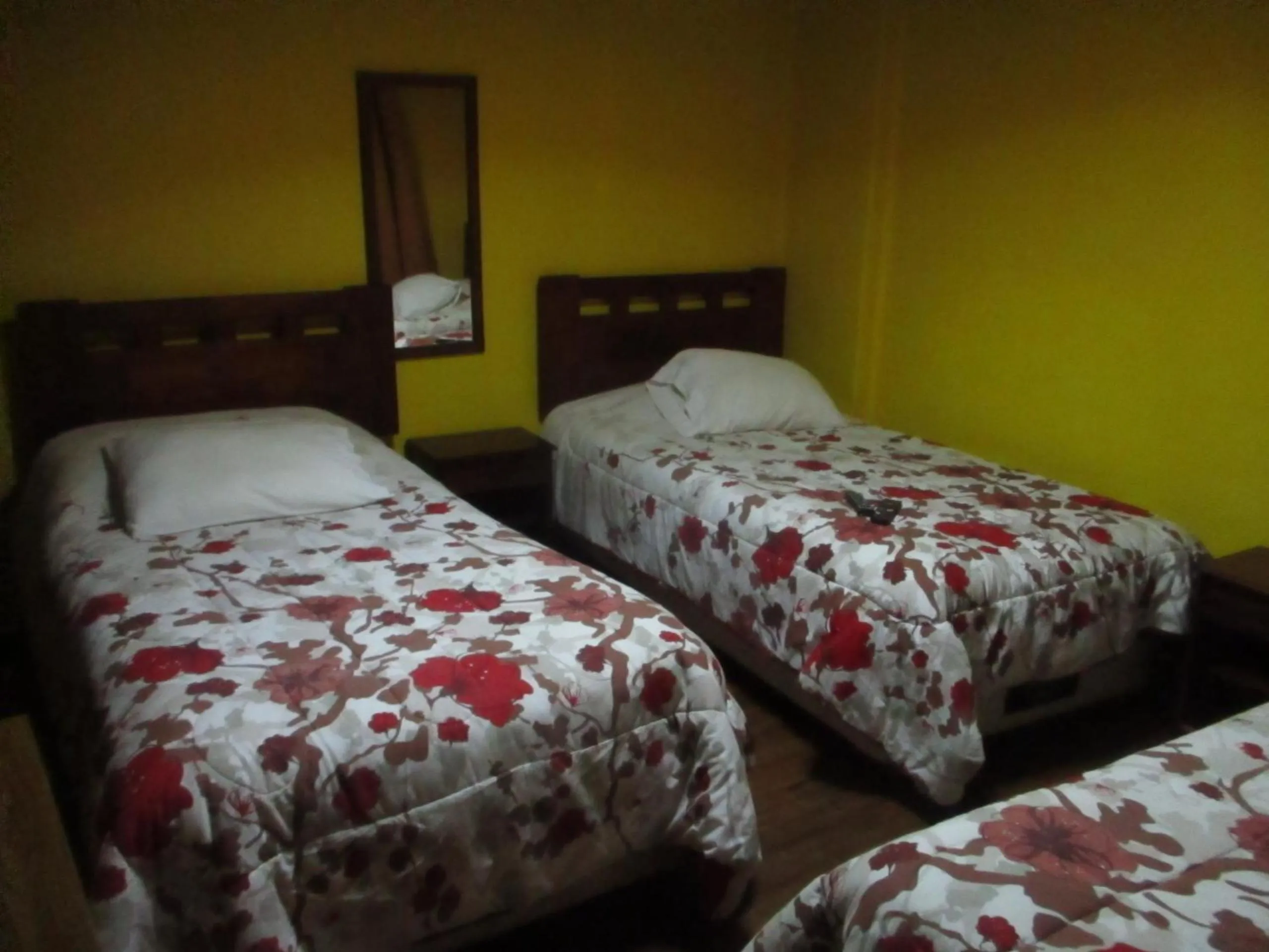 Hotel Centro Sur - Colonial