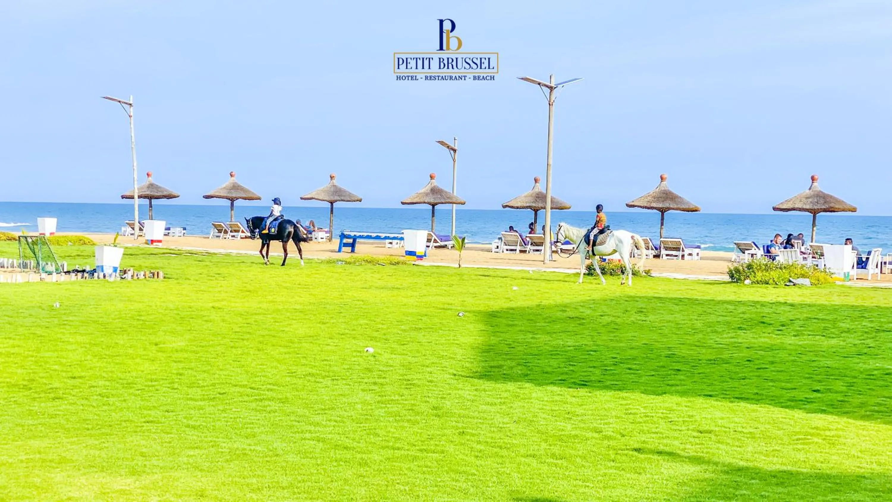 Restaurant/places to eat in Hotel Petit Brussel