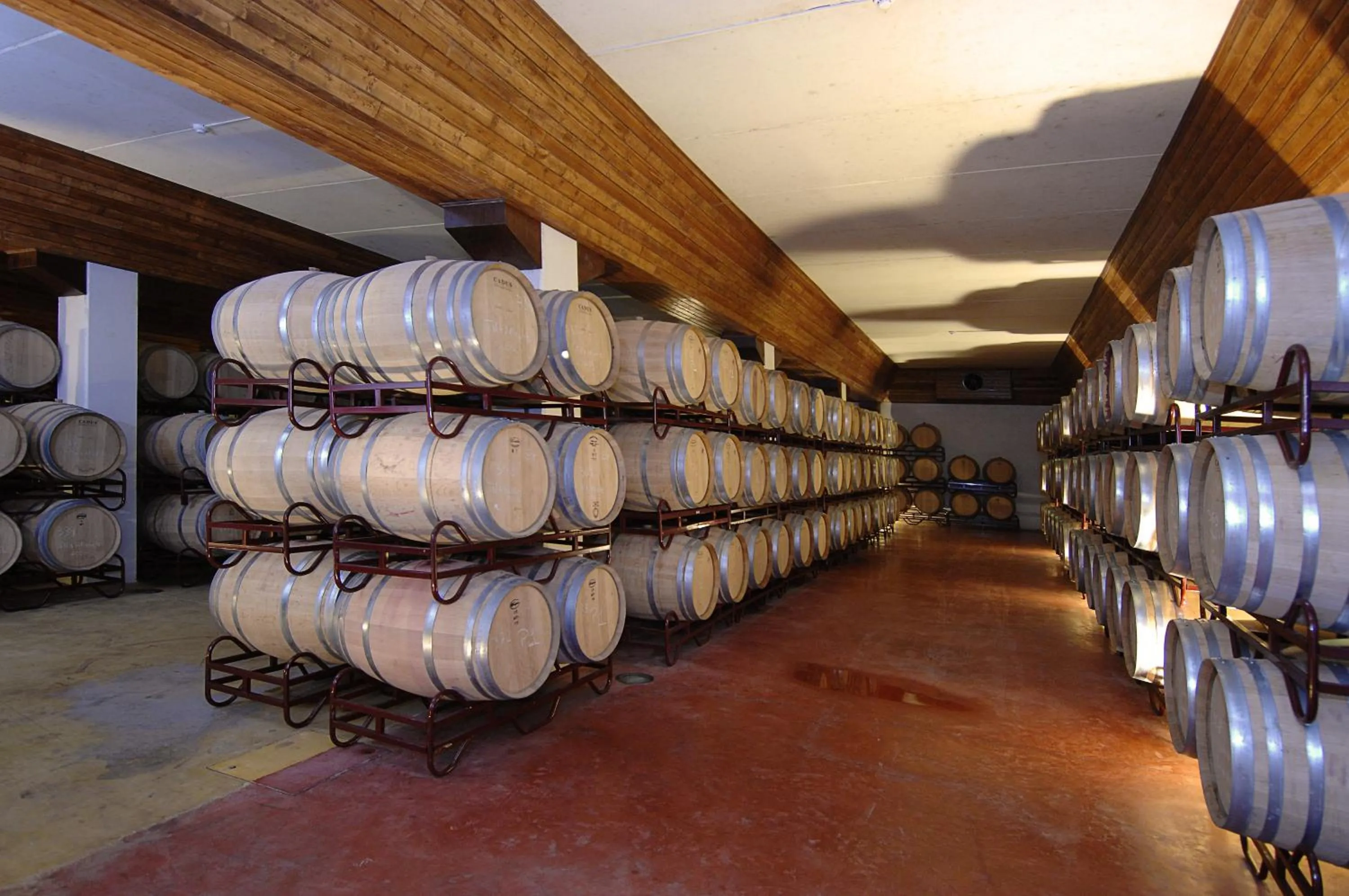 Other in Vila Gale Alentejo Vineyard - Clube de Campo