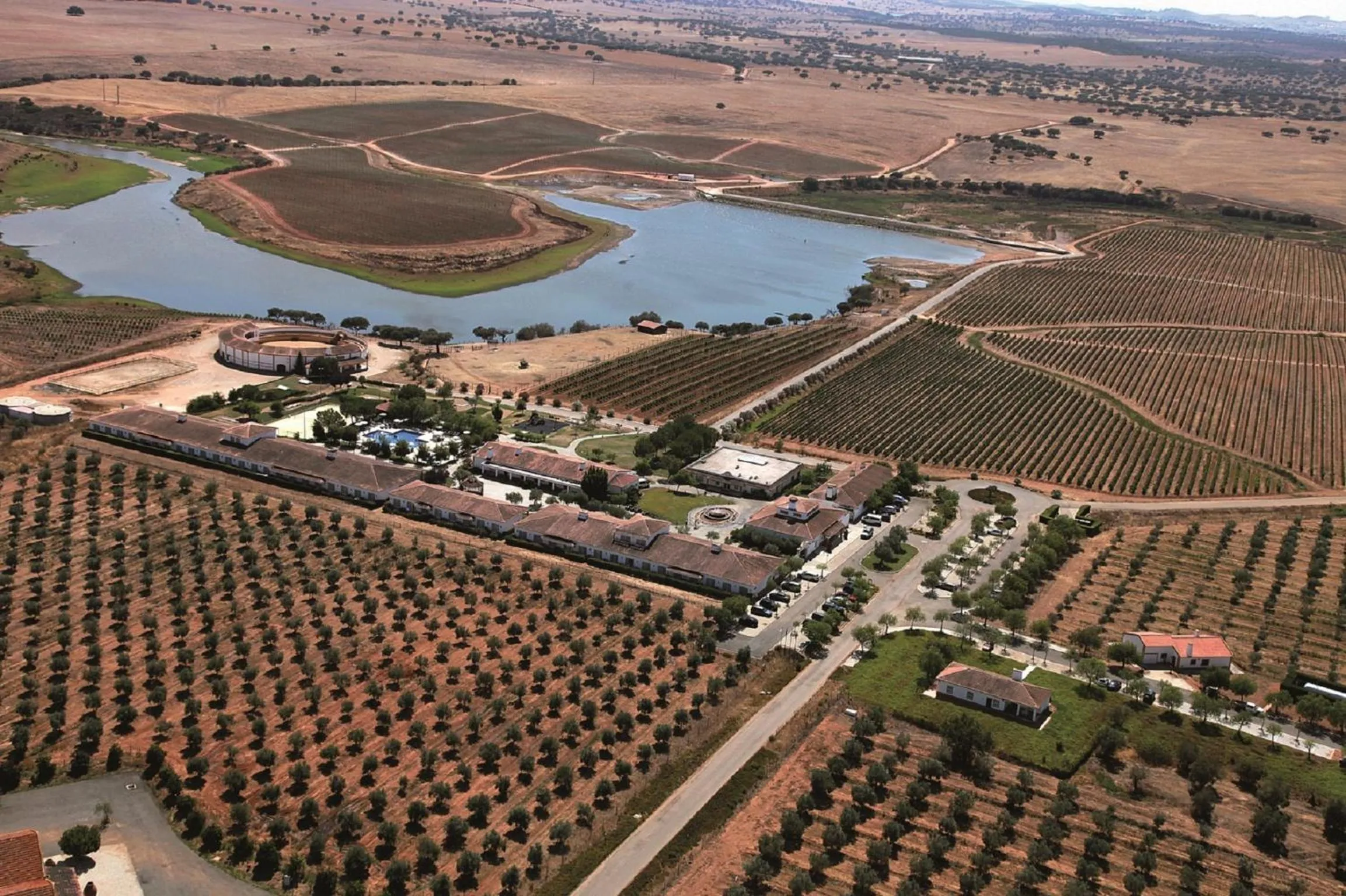 Bird's eye view in Vila Gale Alentejo Vineyard - Clube de Campo
