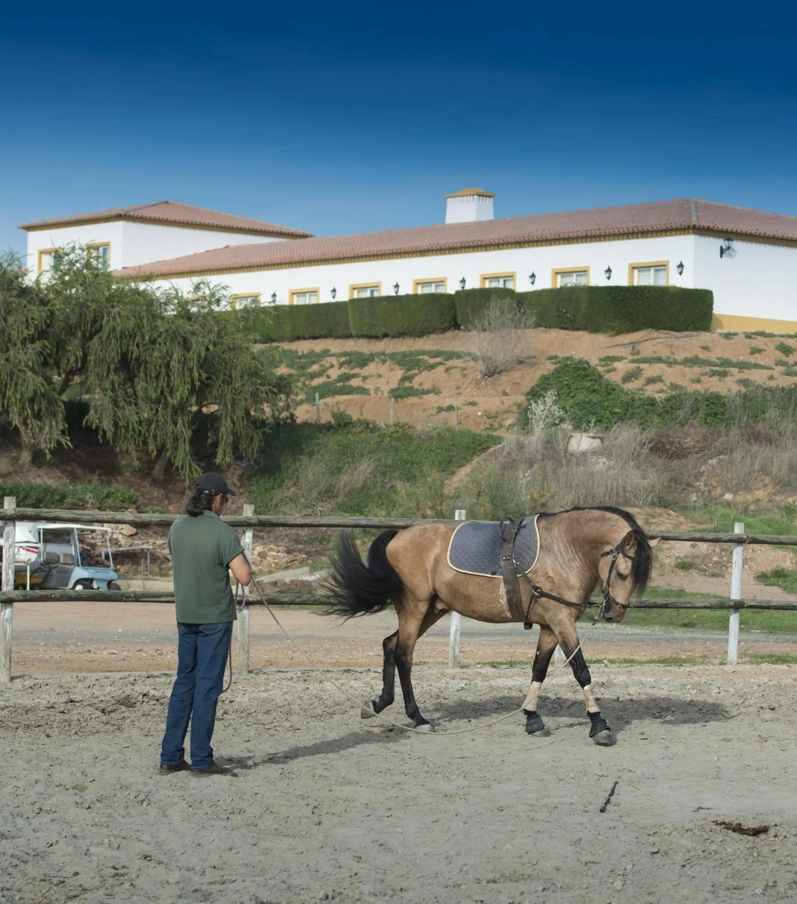 Horse-riding in Vila Gale Alentejo Vineyard - Clube de Campo