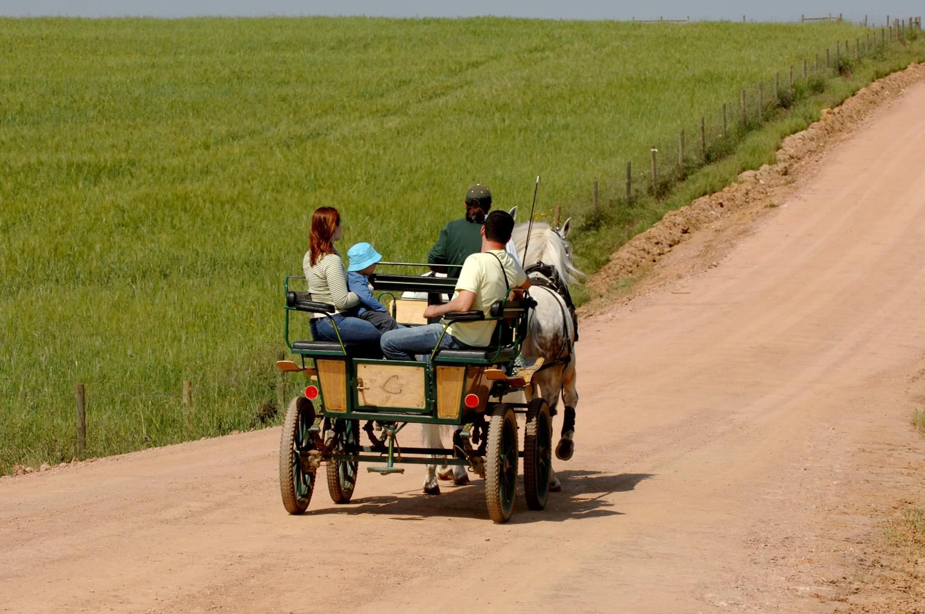 Horse-riding in Vila Gale Alentejo Vineyard - Clube de Campo