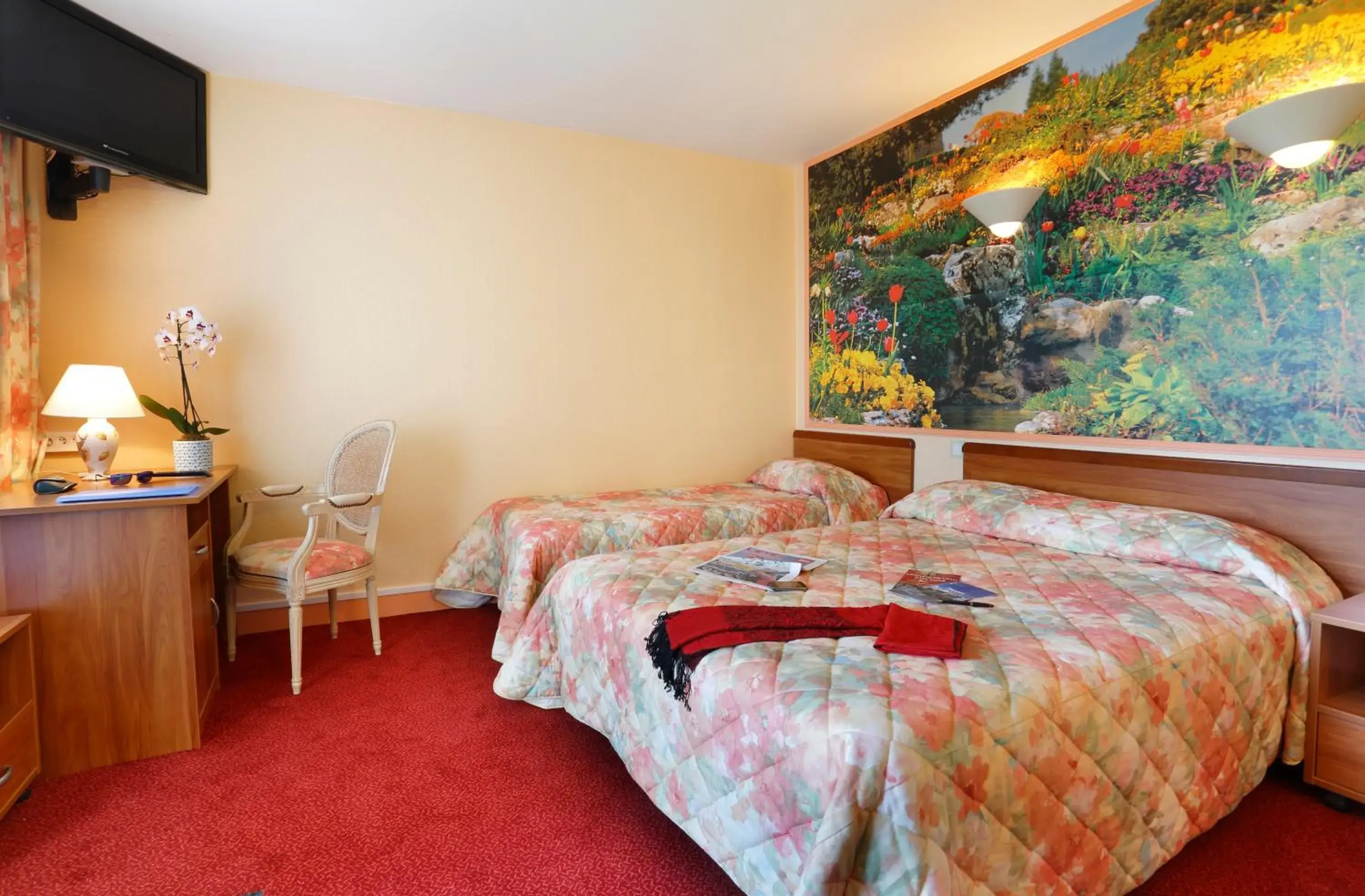 Double Room - single occupancy in Contact Hôtel de France Contres-Beauval-Cheverny Double Room - single occupancy in Contact Hôtel de France Contres-Beauval-Cheverny