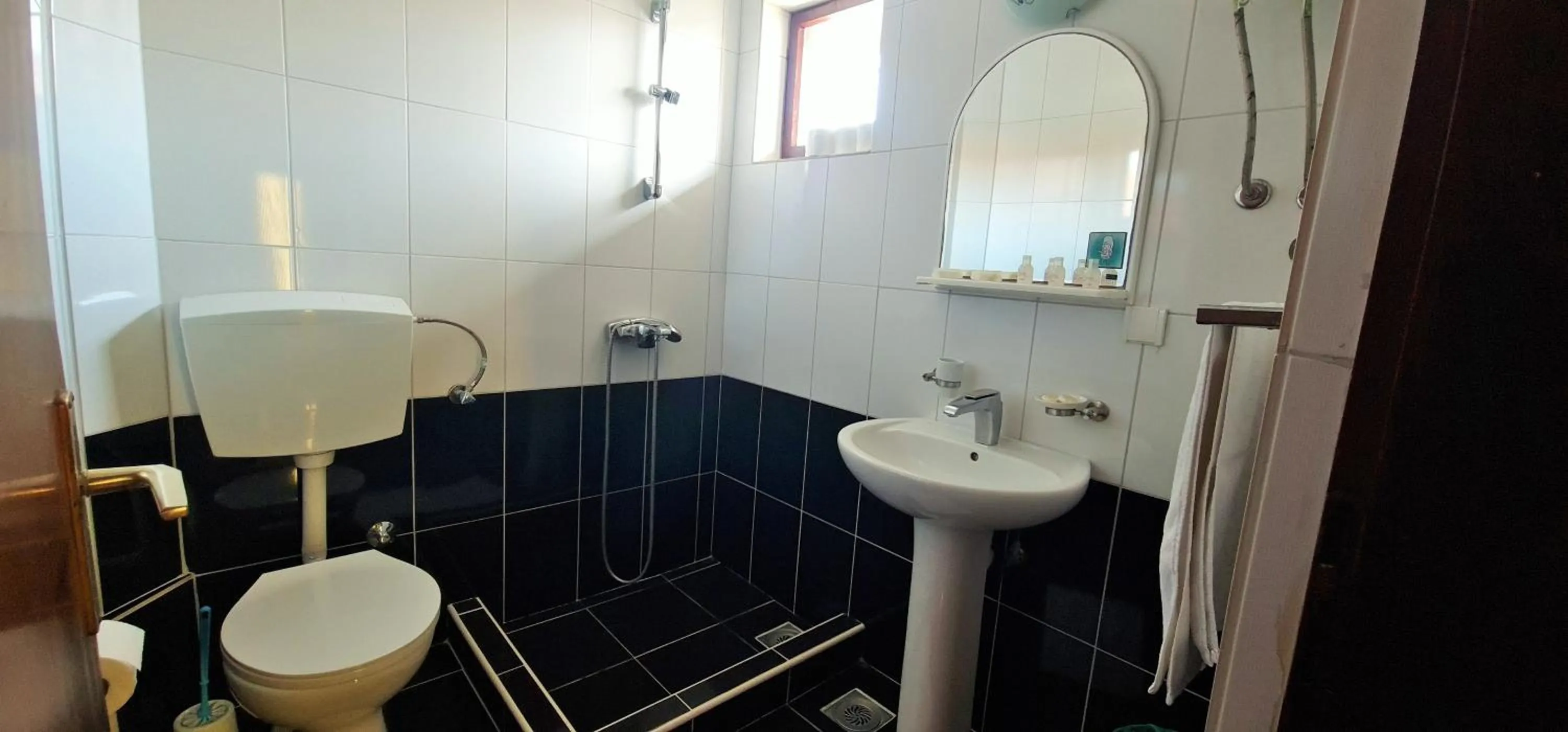 Toilet in FKK Ada Bojana