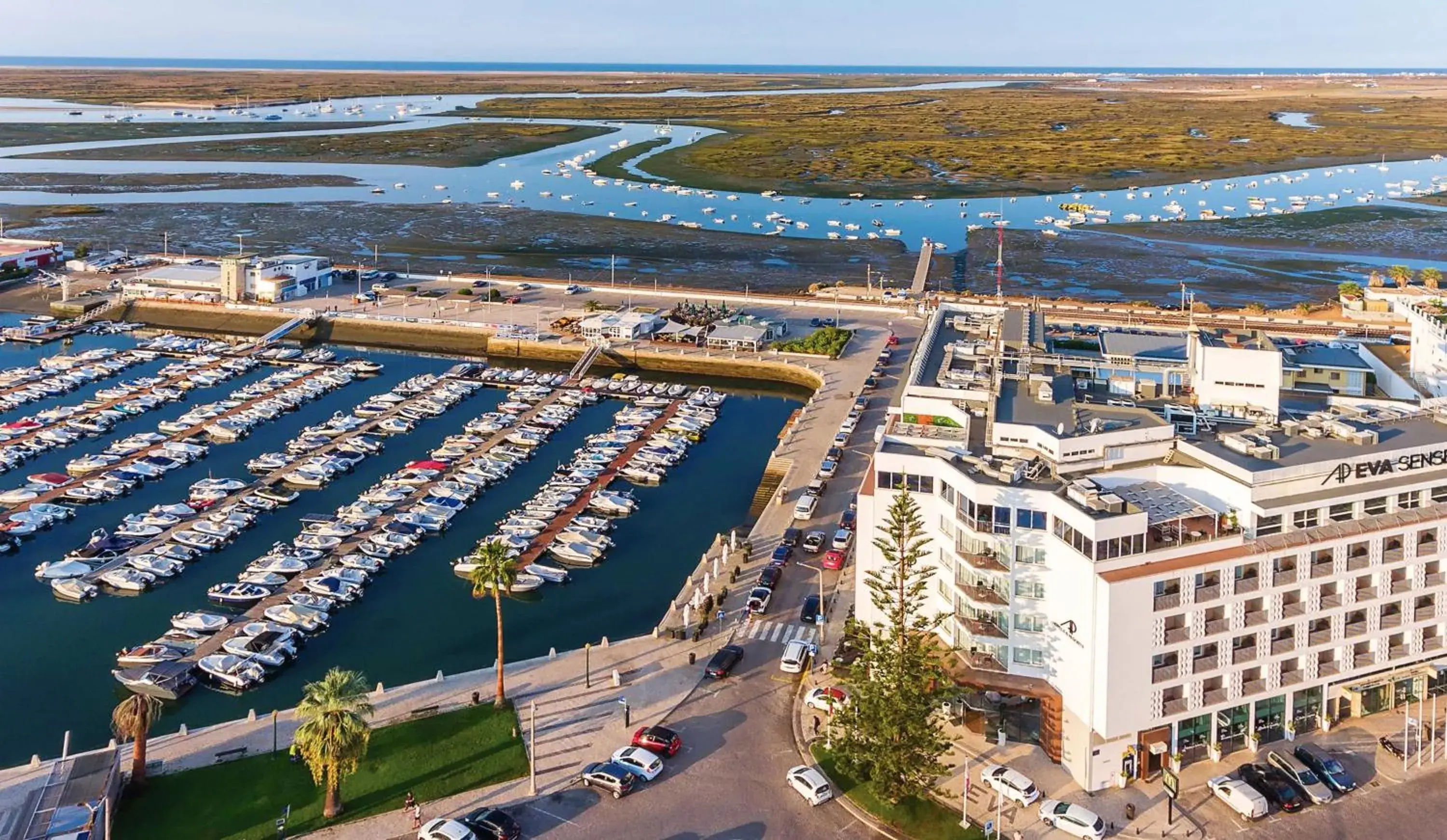 Property building in AP Eva Senses Property building in AP Eva Senses