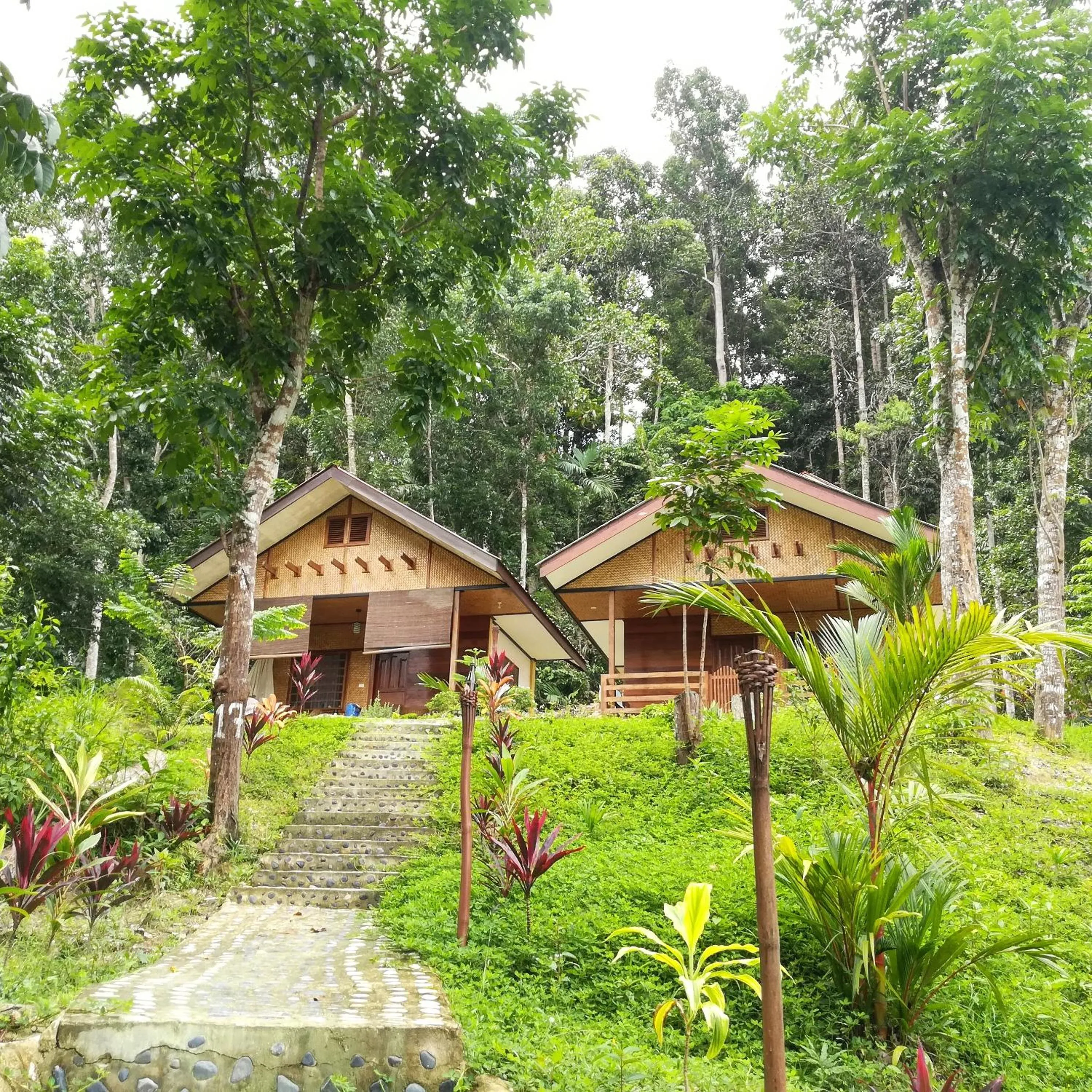 Facade/entrance in Victordelia Hilltop Hostel
