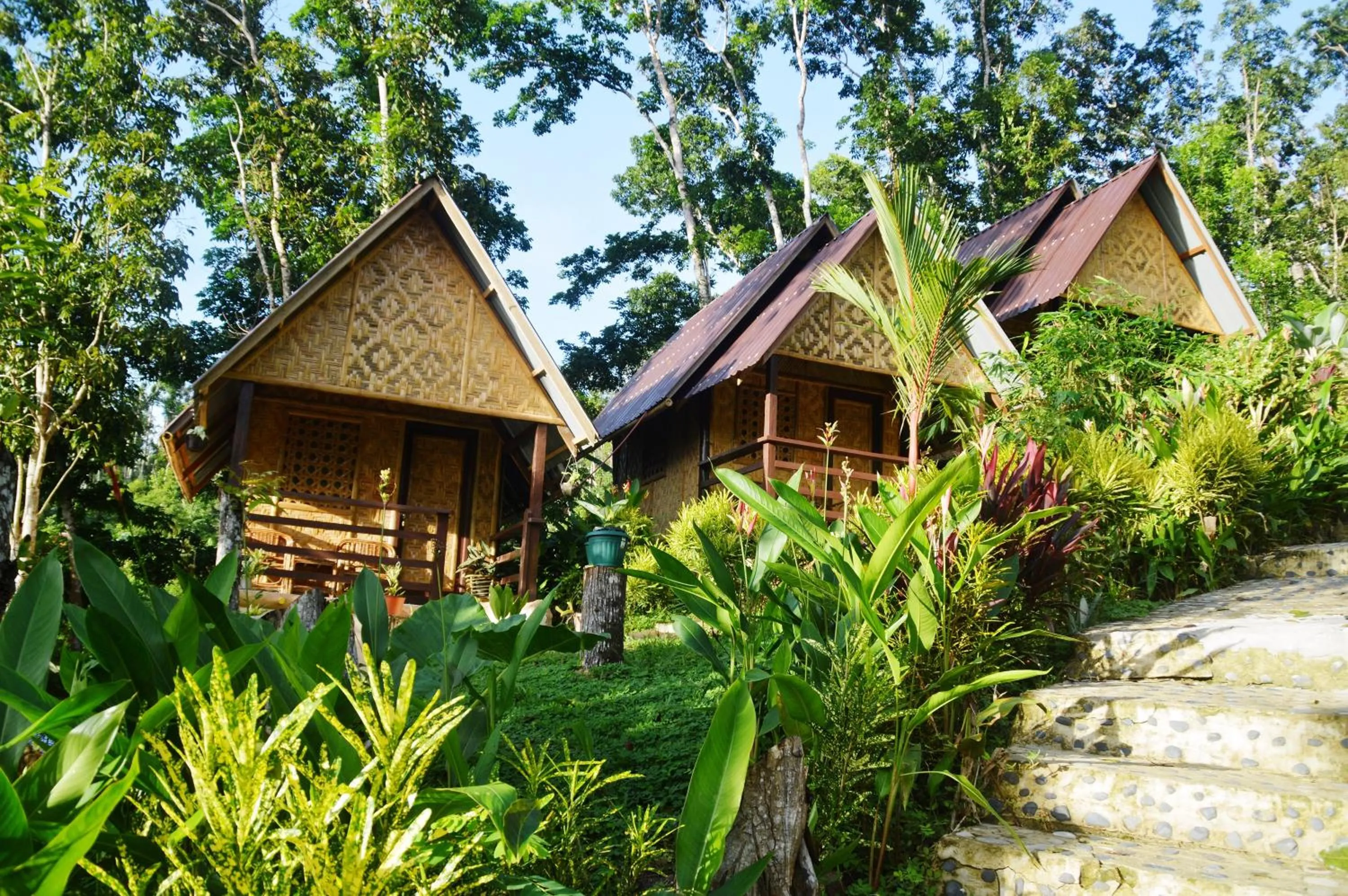 Garden in Victordelia Hilltop Hostel