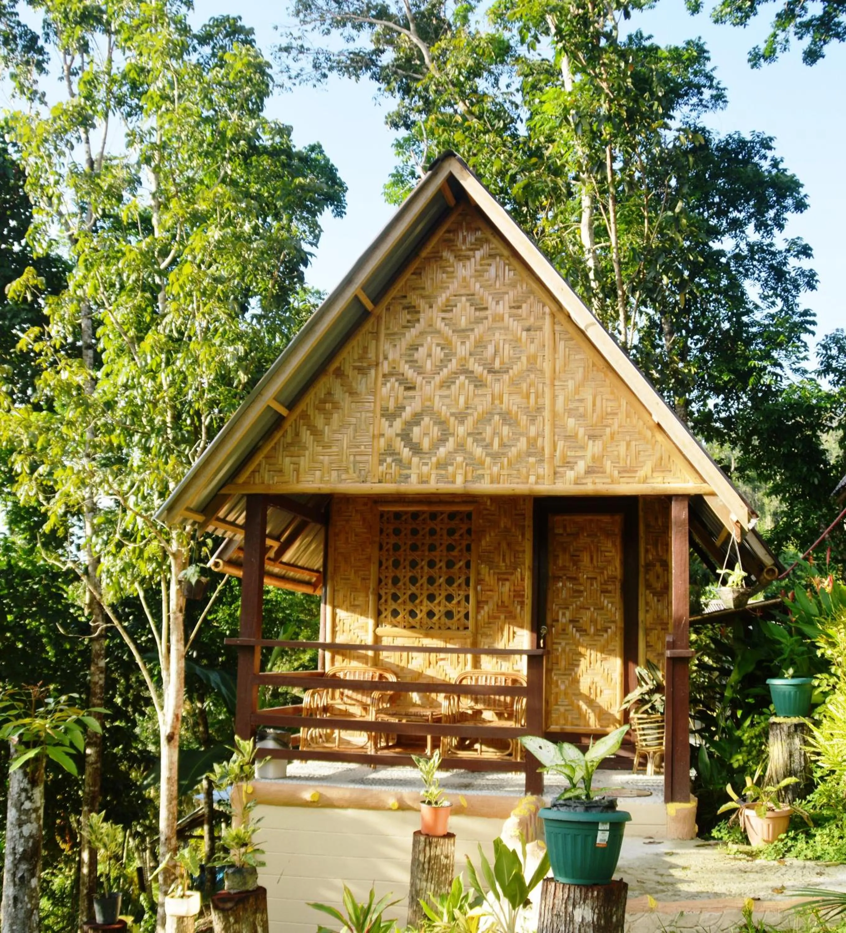 Guests in Victordelia Hilltop Hostel