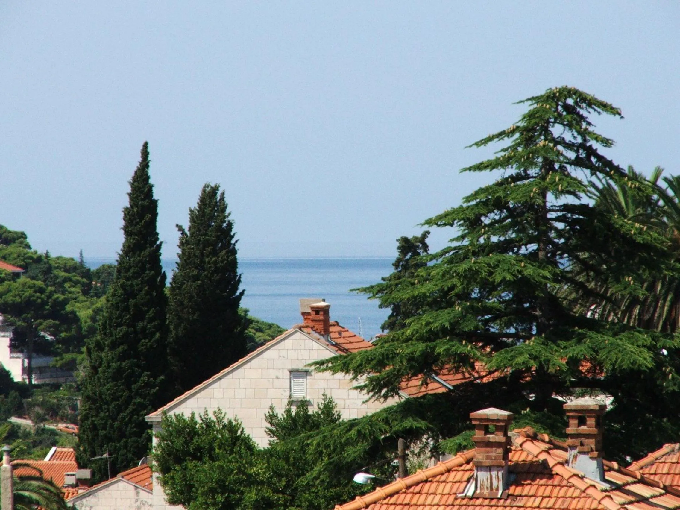 View (from property/room) in Apartments Dubrovnik Lapad