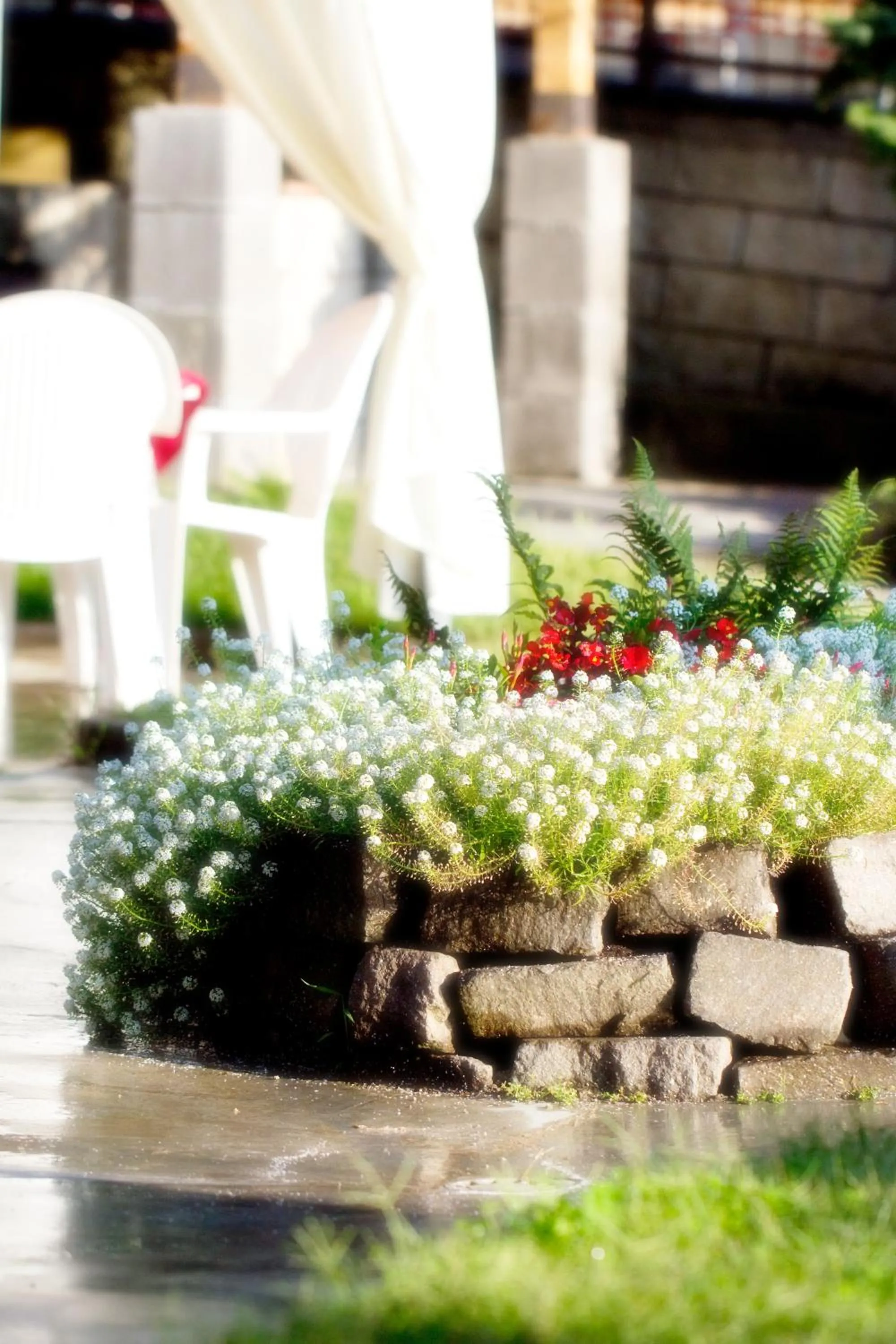 Garden view in Hotel Michela