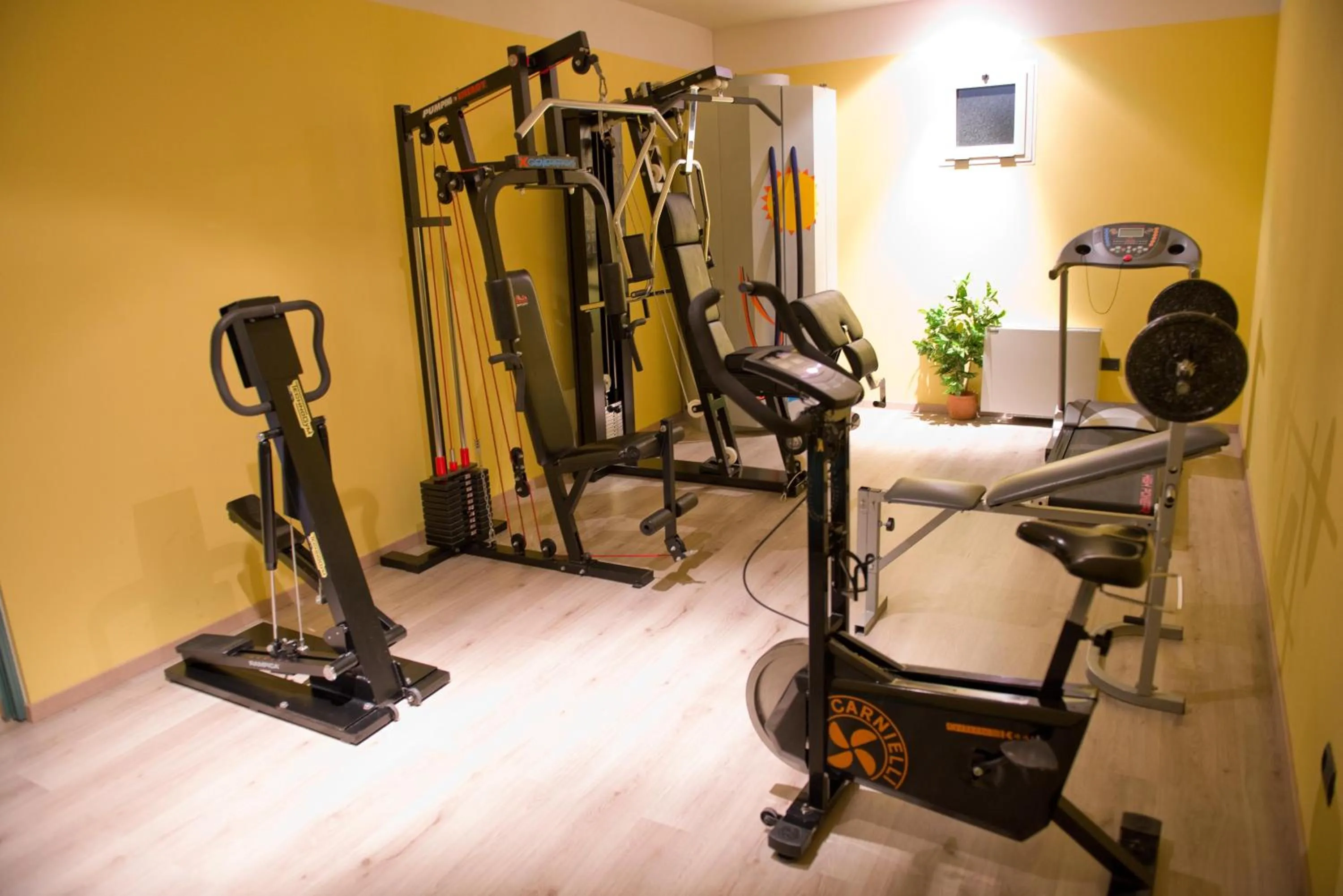Fitness centre/facilities in Hotel Michela