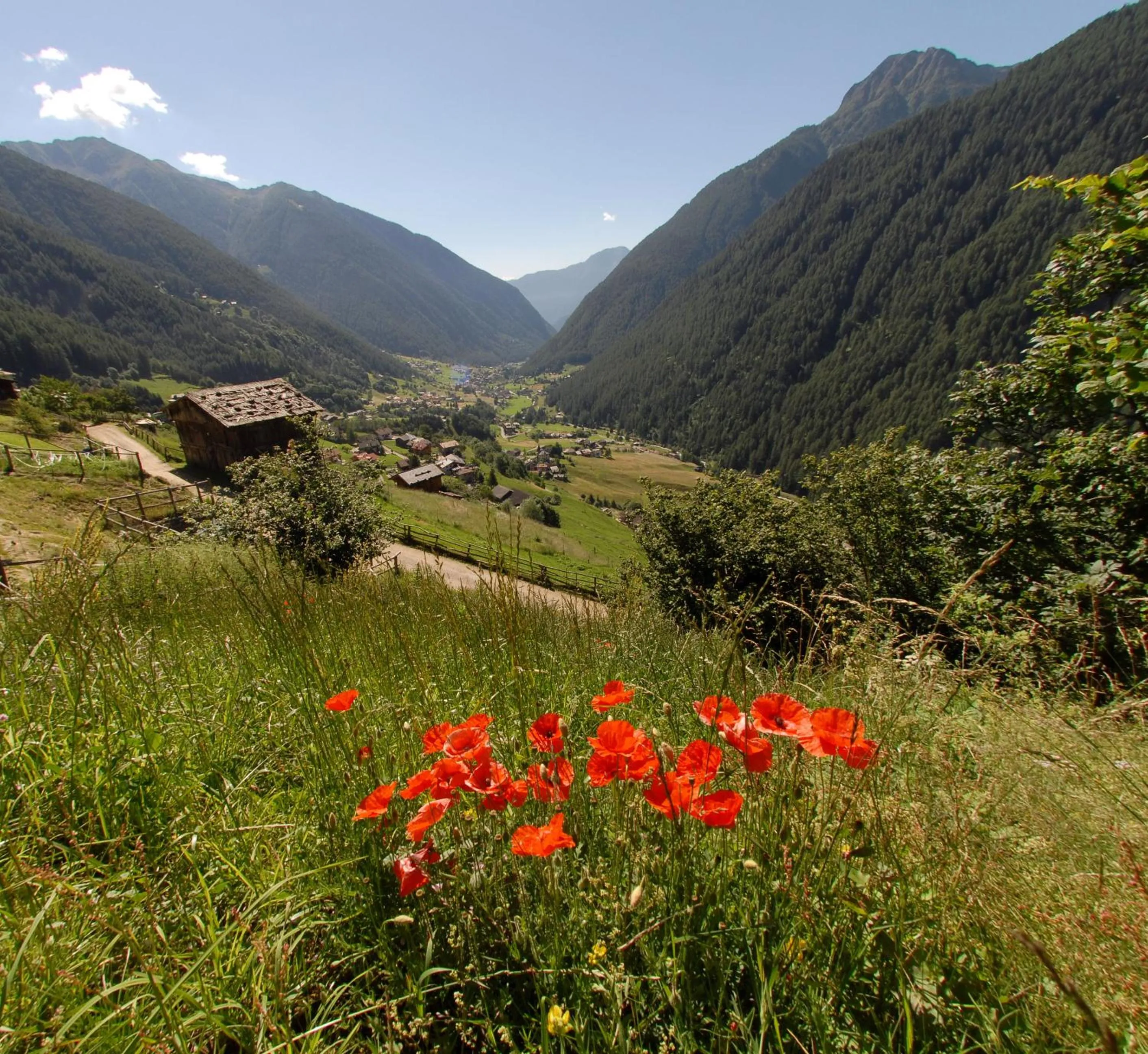 Activities in Hotel Michela