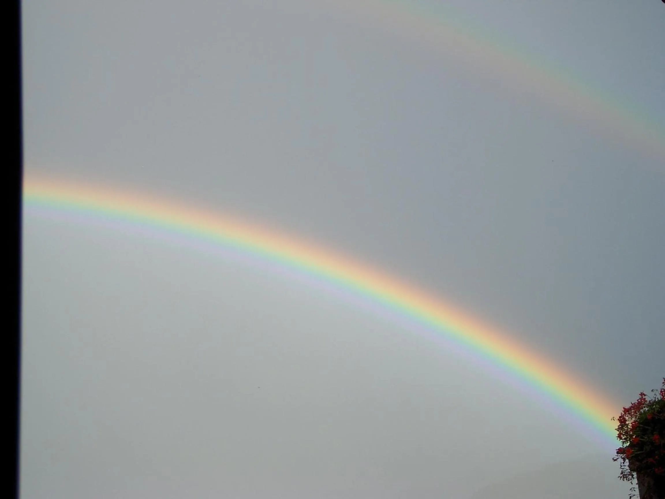 Summer in Hotel Michela