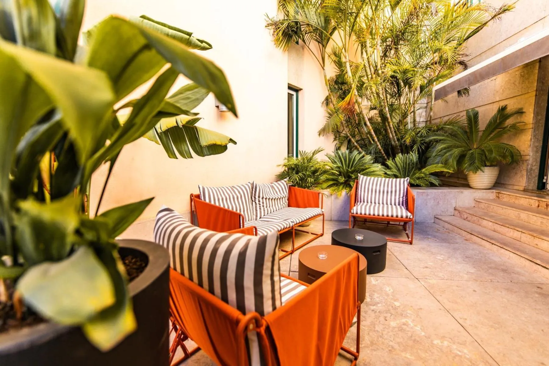 Patio in Hotel Real Palacio