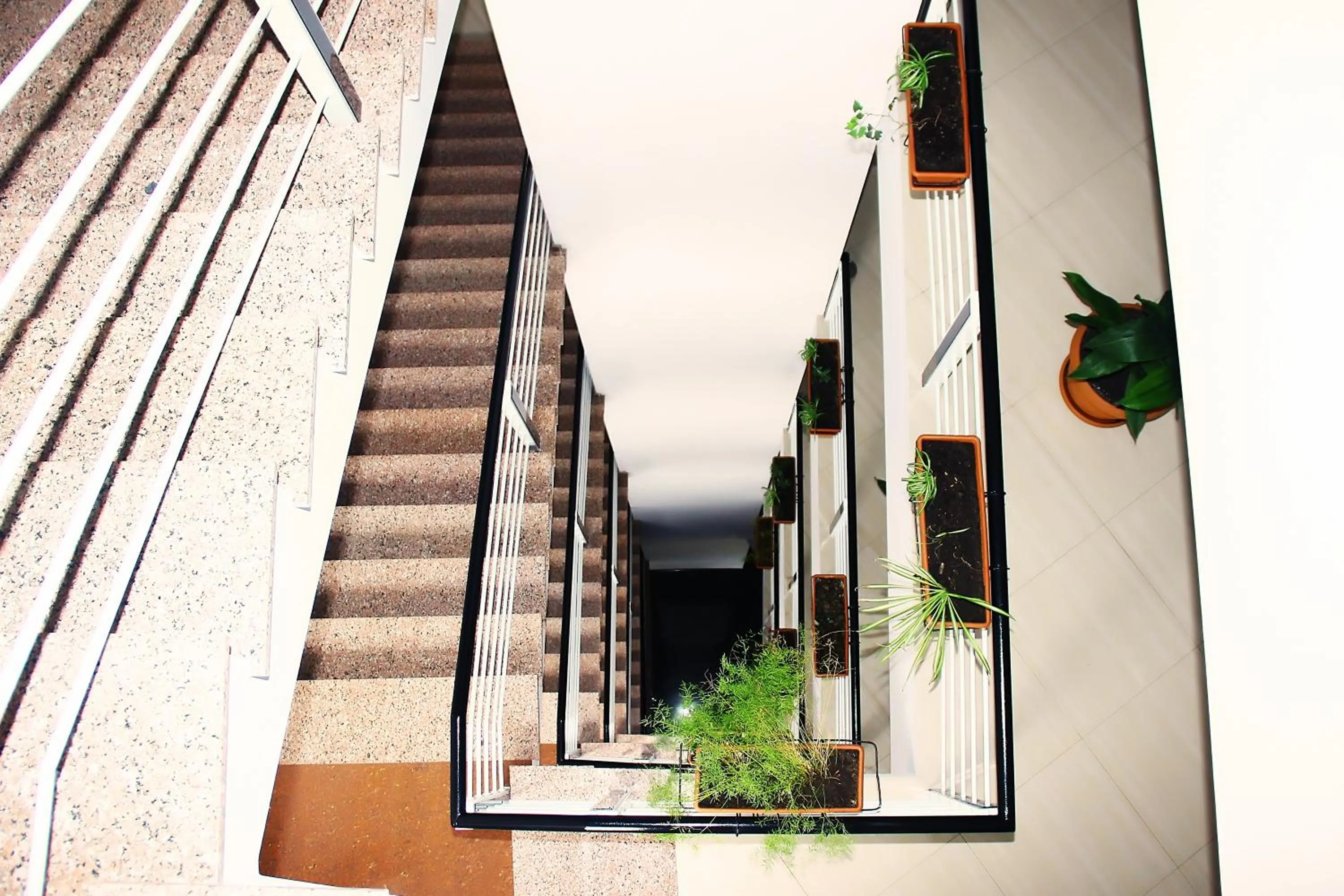 Other in Hotel Shine Palace