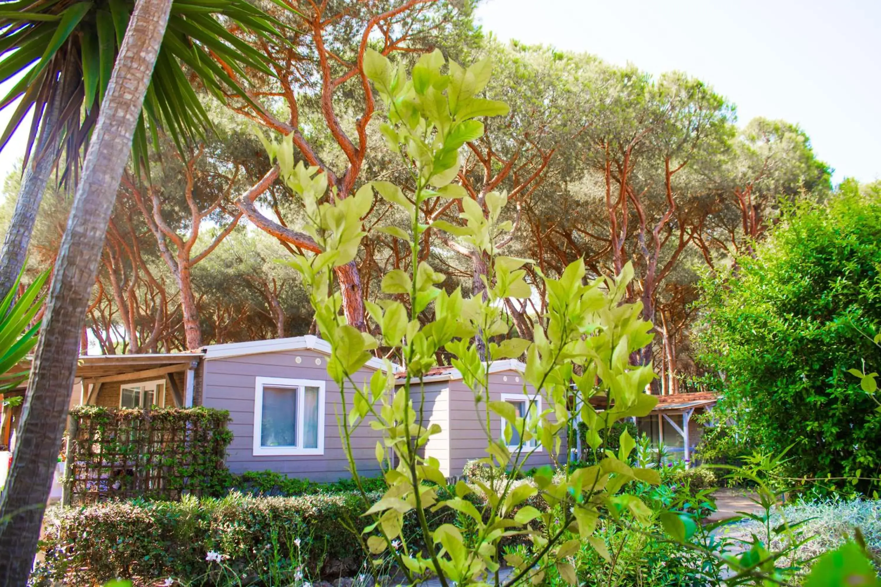 Property building in Gitavillage Il Gabbiano Property building in Gitavillage Il Gabbiano