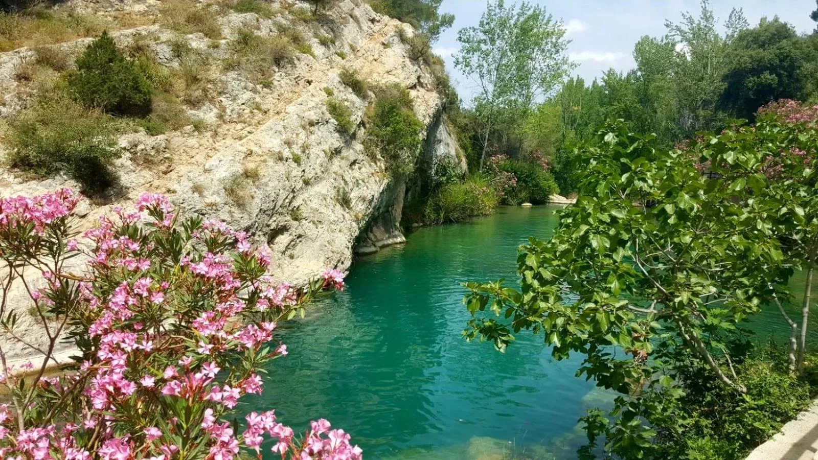 Natural landscape in Casa de Los Lirios
